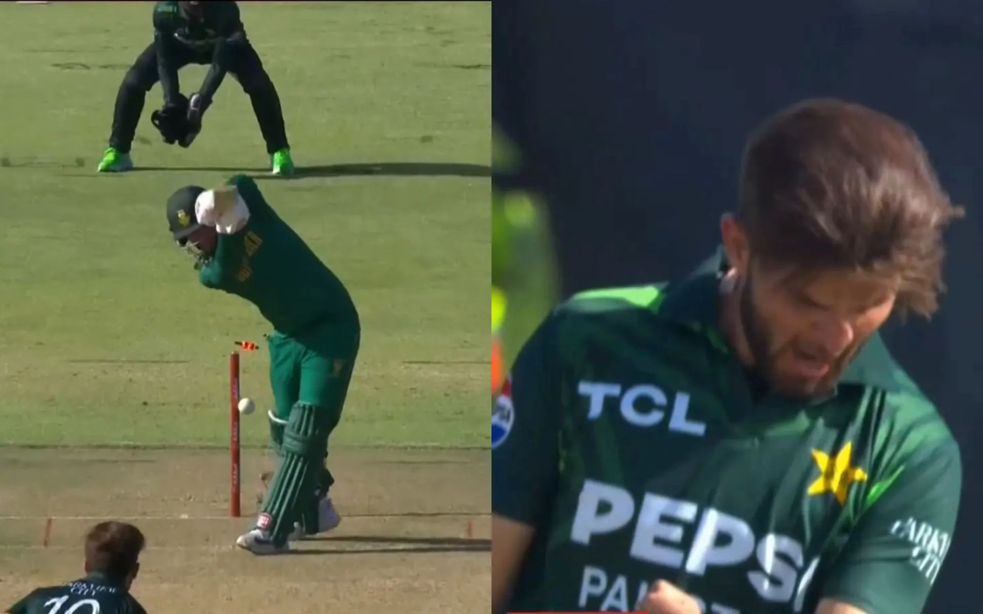 Shaheen Afridi cleans up Heinrich Klaasen (Source: Screengrab from Jiocinema)