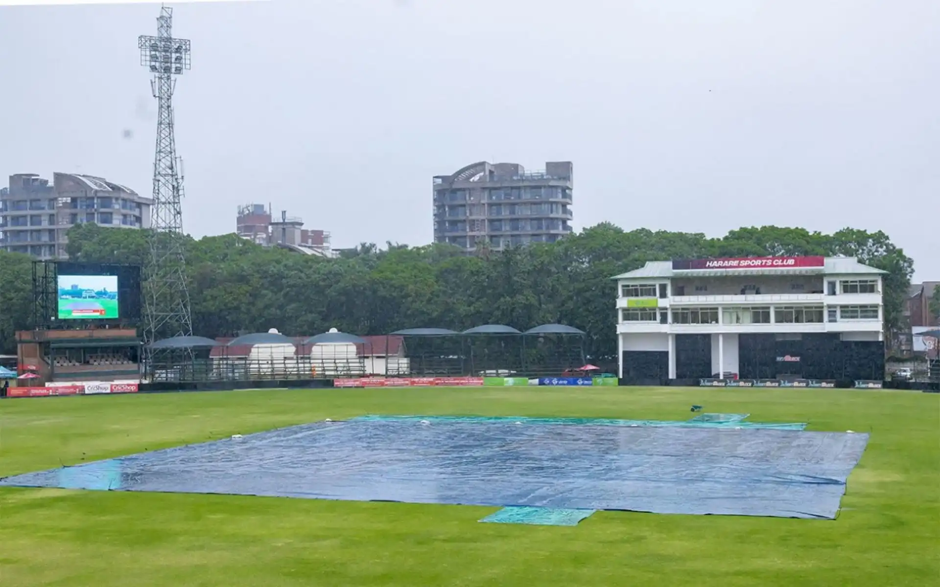 Harare Sports Club Pitch Report [Source: @ZimCricketv/x.com]