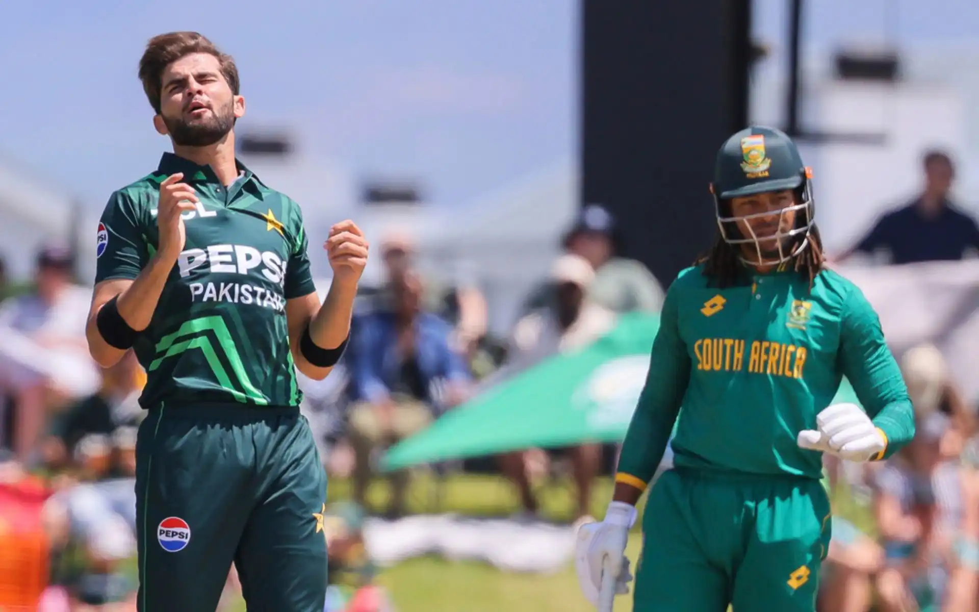 Shaheen Shah Afridi in action (AP Photos)
