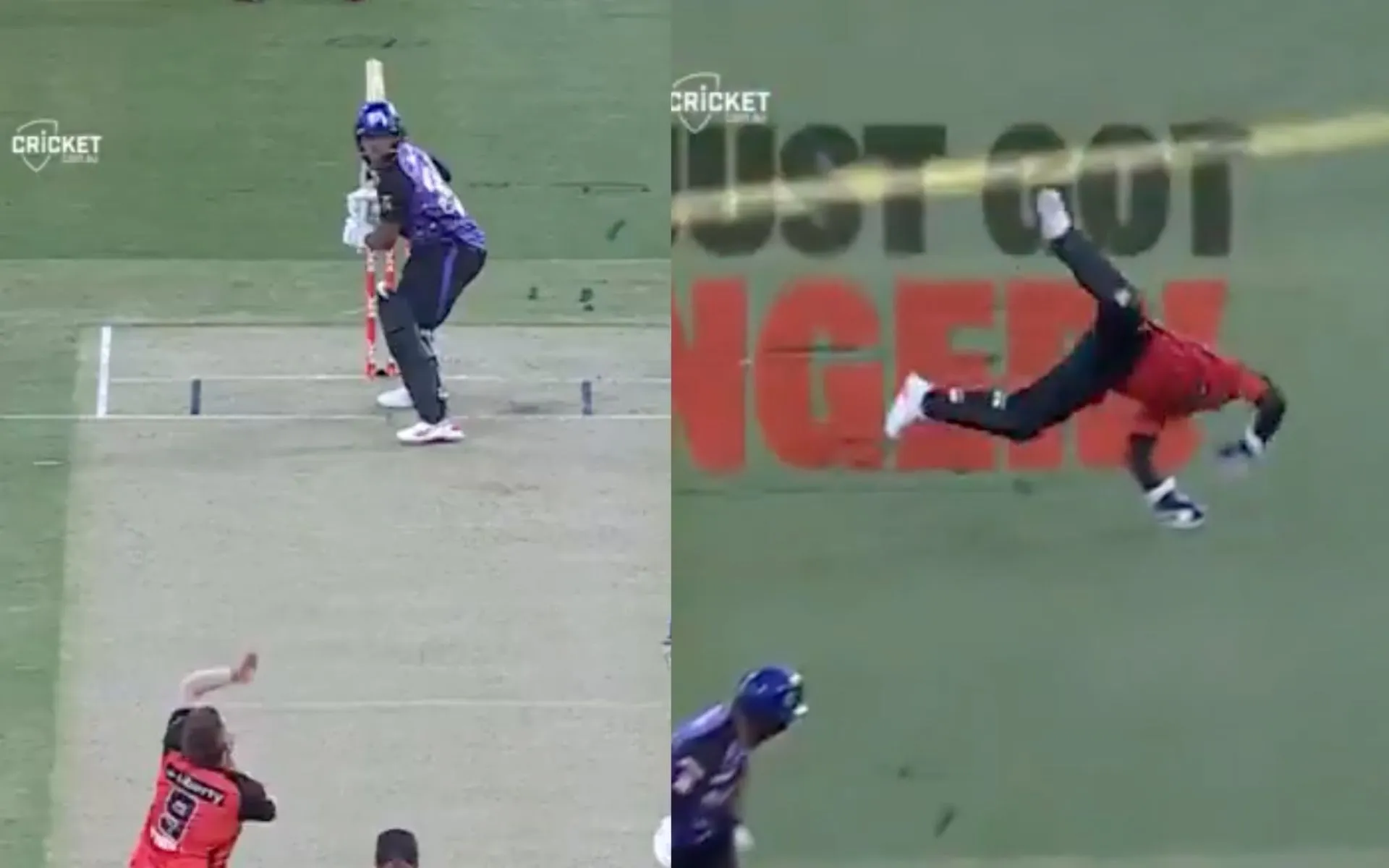Tim Seifert makes a stunning catch (Source: @BBL/X.com)