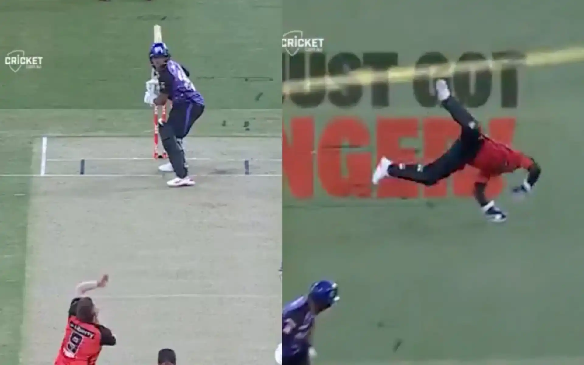 Tim Seifert makes a stunning catch (Source: @BBL/X.com)