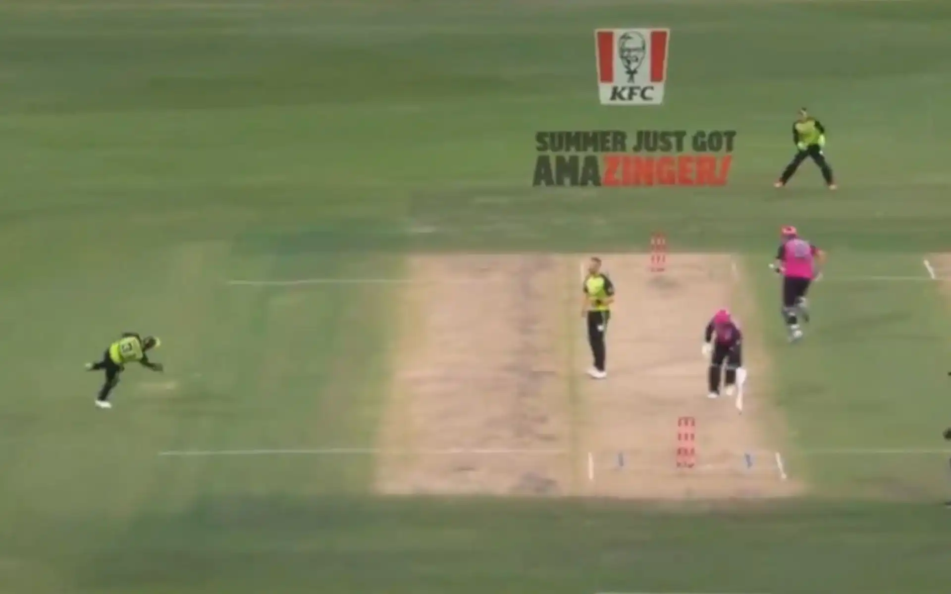 David Warner's run-out (Source: @BBL/X)