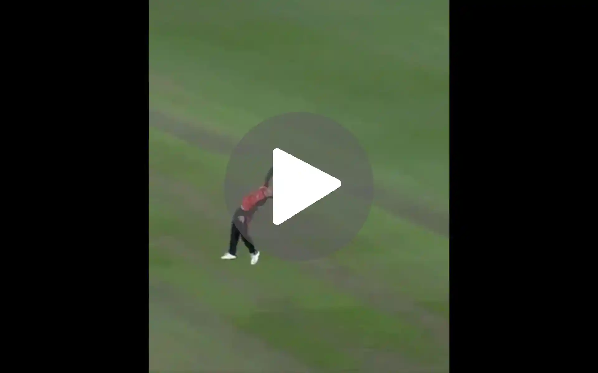 [Watch] Best Catch In BBL History! Mackenzie Harvey Defies Physics With A Grab For The Ages