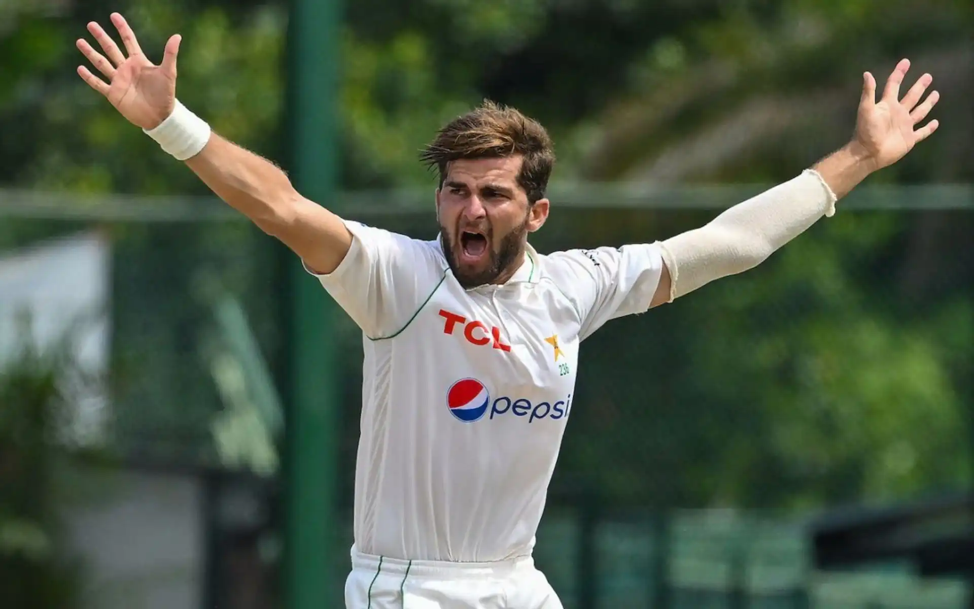 Shaheen Afridi Replaced, Abdullah Shafique Out; Pakistan's Strongest XI For 1st Test vs SA