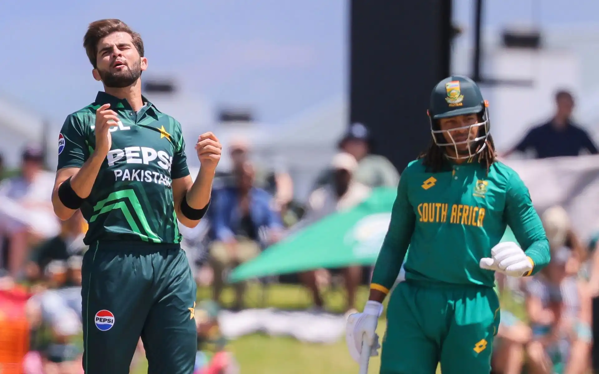 Shaheen Afridi in action [Source: AP Photos]