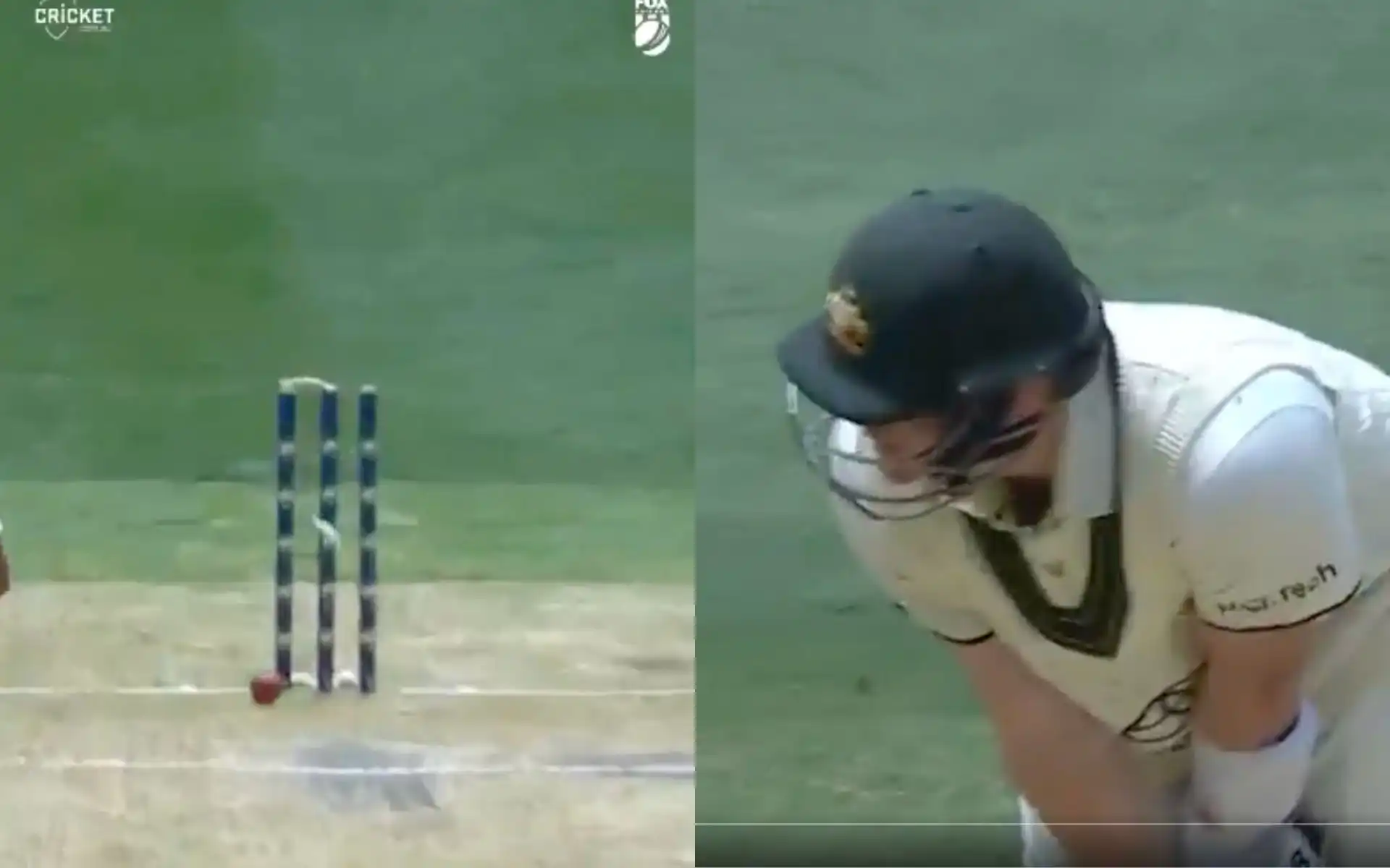 Steve Smith's bizarre dismissal at MCG [Source: @cricketcomau/X]