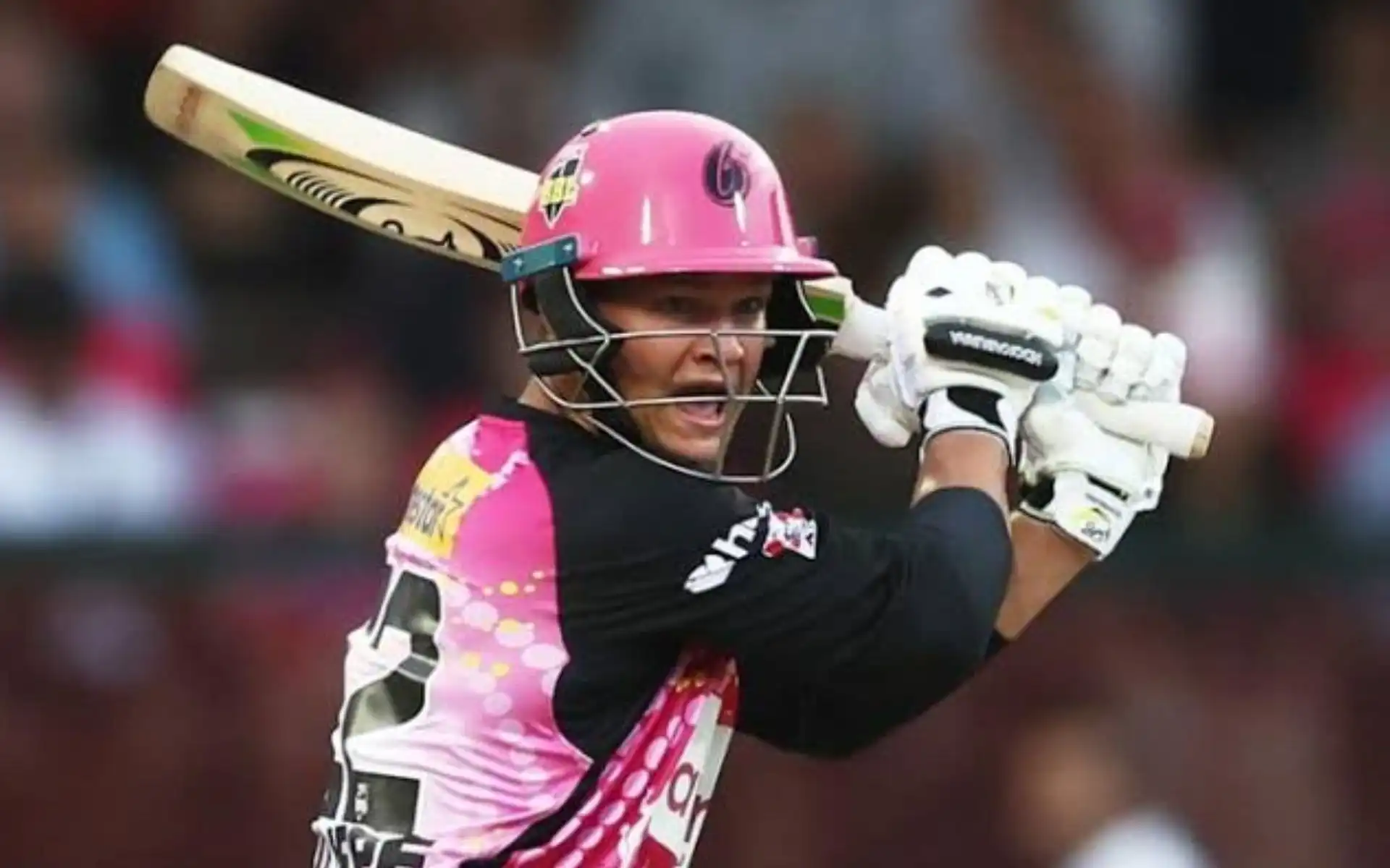 Josh Philippe knocks fiery fifty to floor Heat in BBL 14 match [Source: @Nomancricket29/X.com]