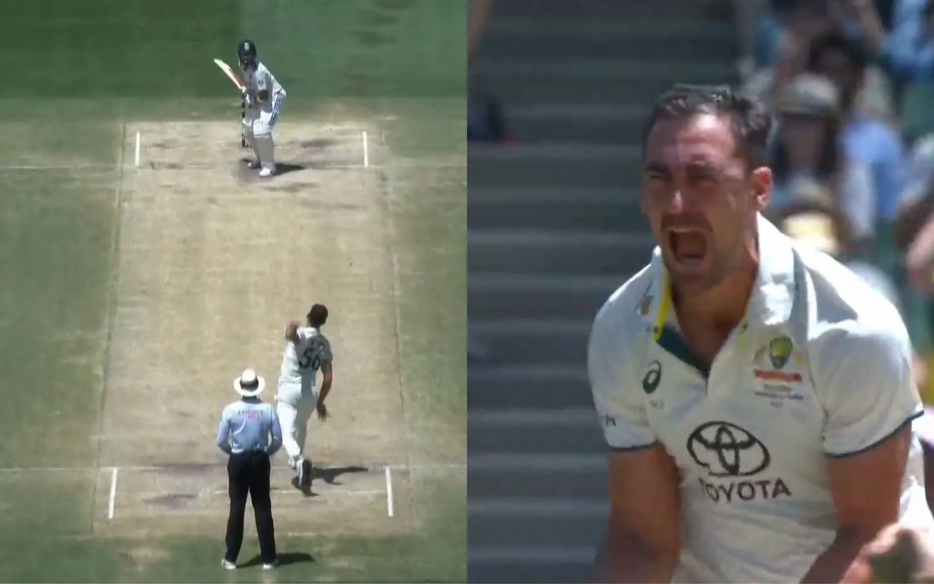 Starc's celebration after Kohli's wicket (Source: Screengrab from Hotstar)