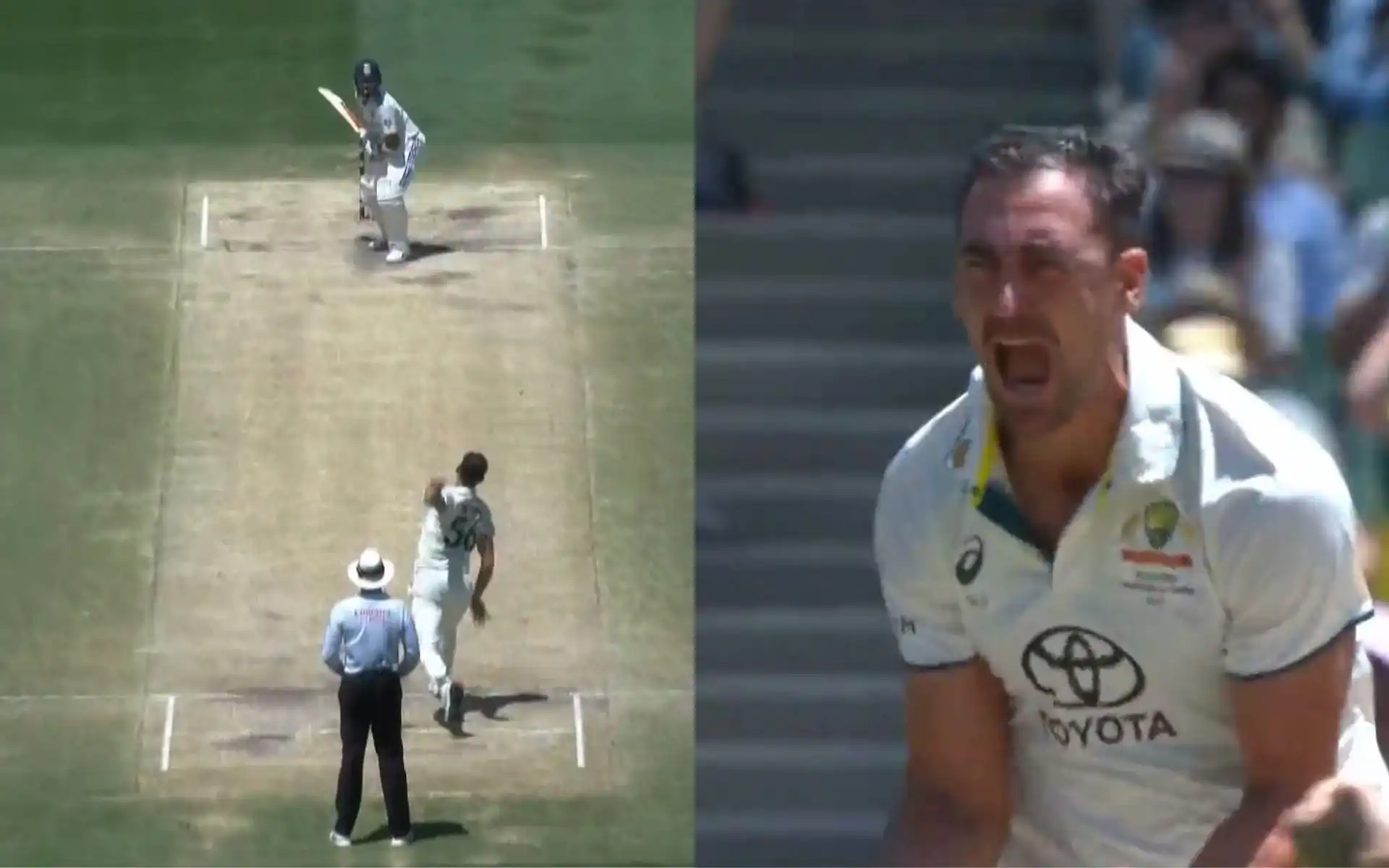 Starc's celebration after Kohli's wicket (Source: Screengrab from Hotstar)