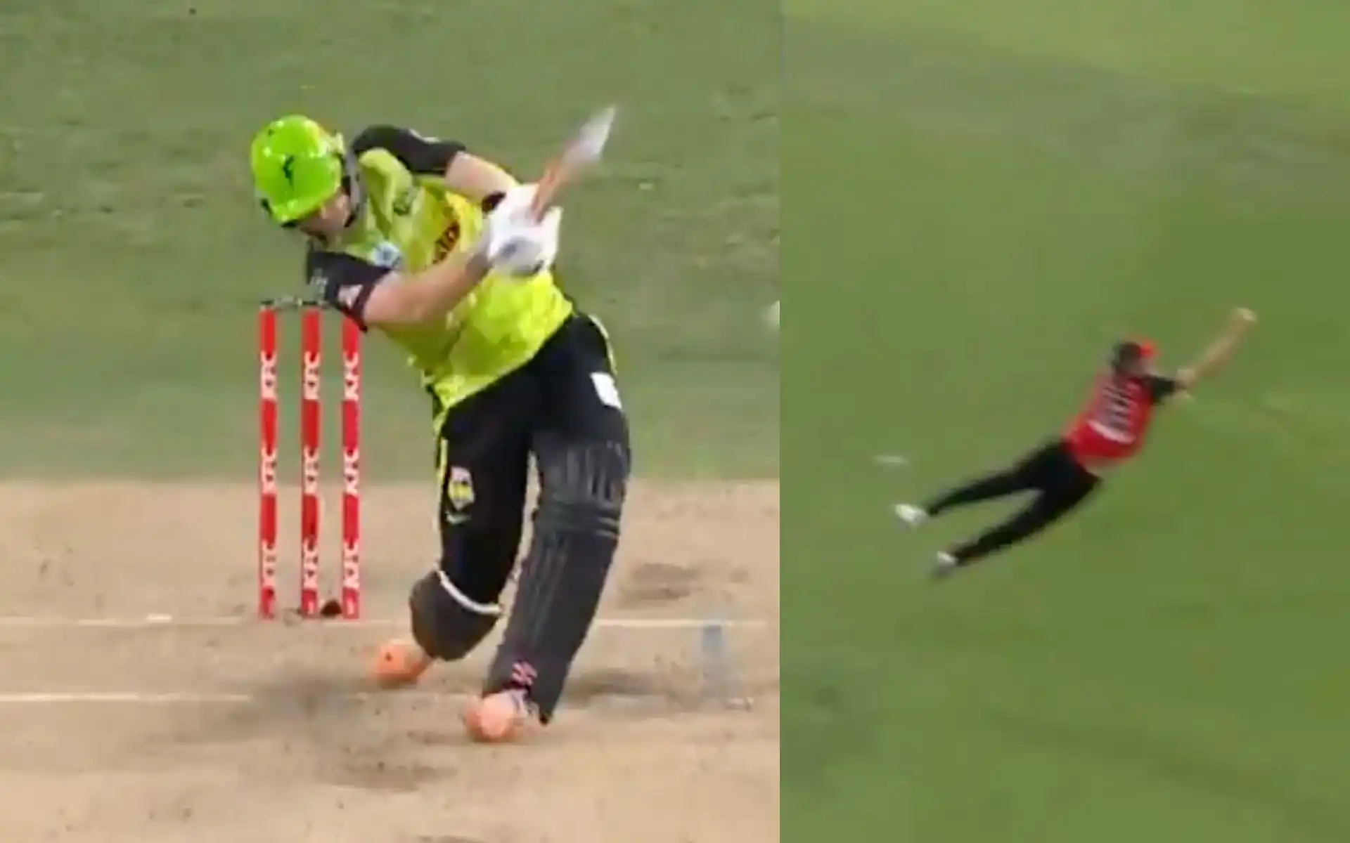 Will Sutherland grabbed a stunning catch (Source: @BBL/X.com)