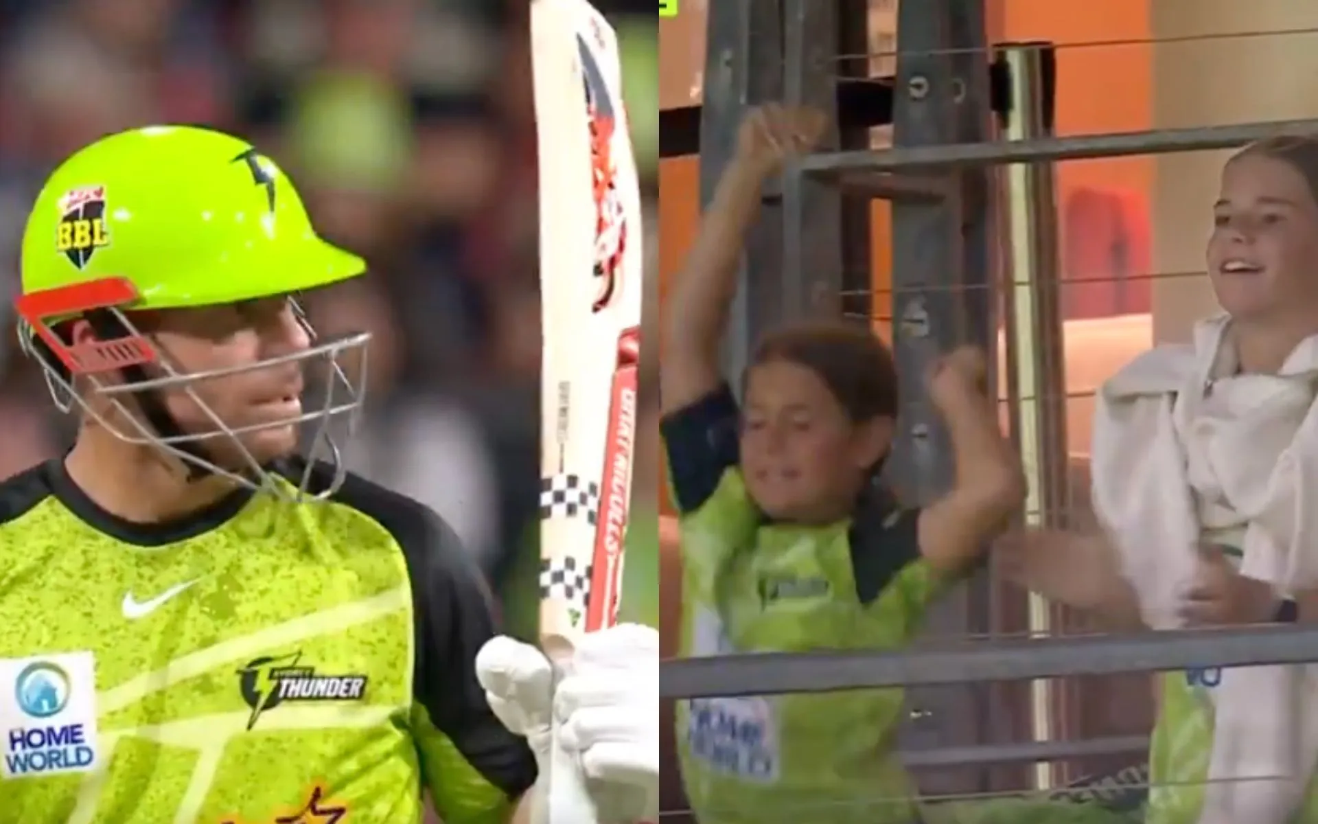 David Warner scores fifty for Thunder in BBL 2024-25 [Source: @BBL/X.com]