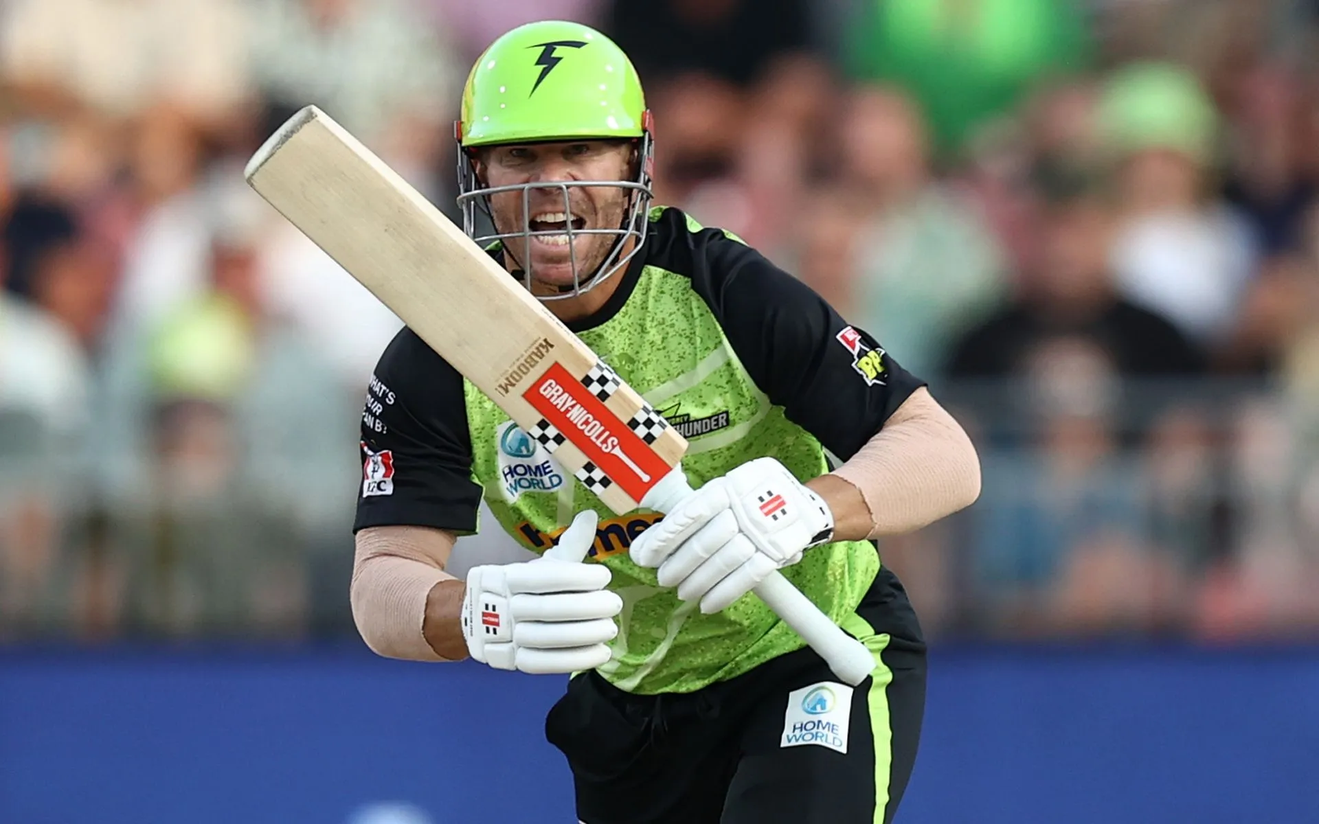 David Warner- (Source:@BBL/X.com)