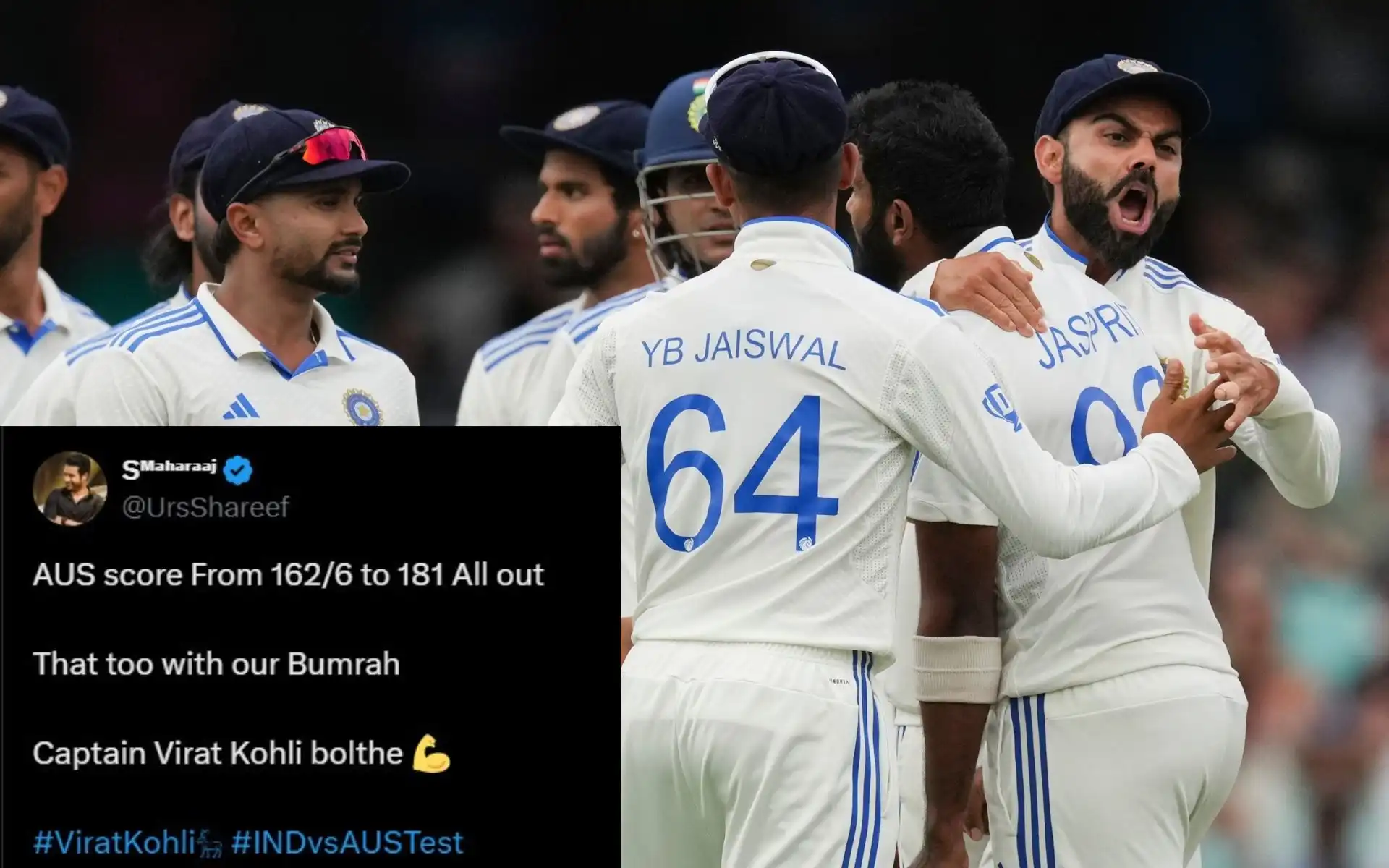 Virat Kohli celebrating a wicket [Source: AP Photos]