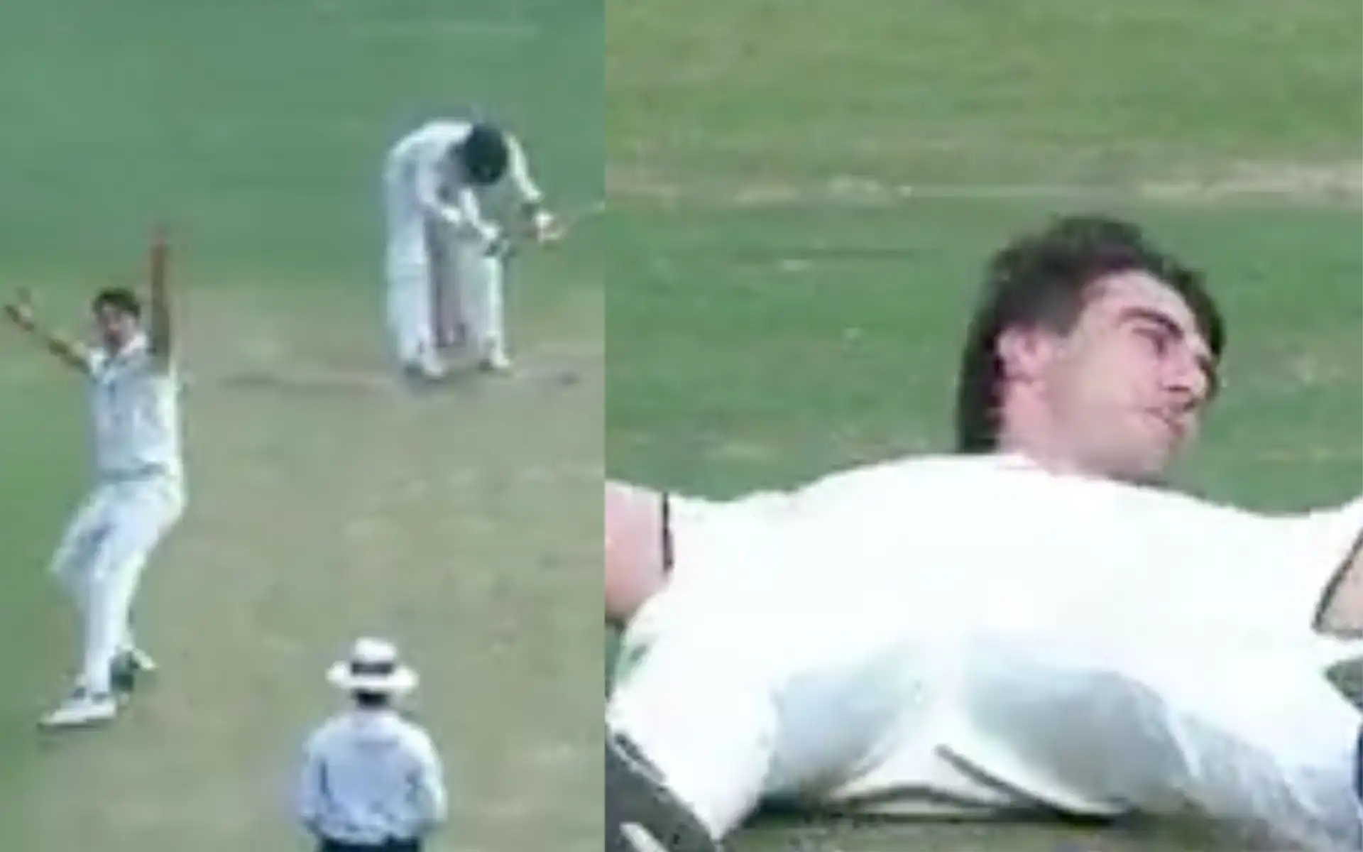 Pat Cummins falls while appealing (Source:@7Cricket/X.com)