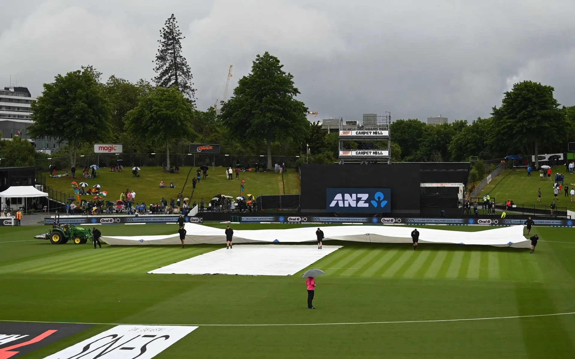 Seddon Park Hamilton Ground (Source:@YaariSports/X.com)