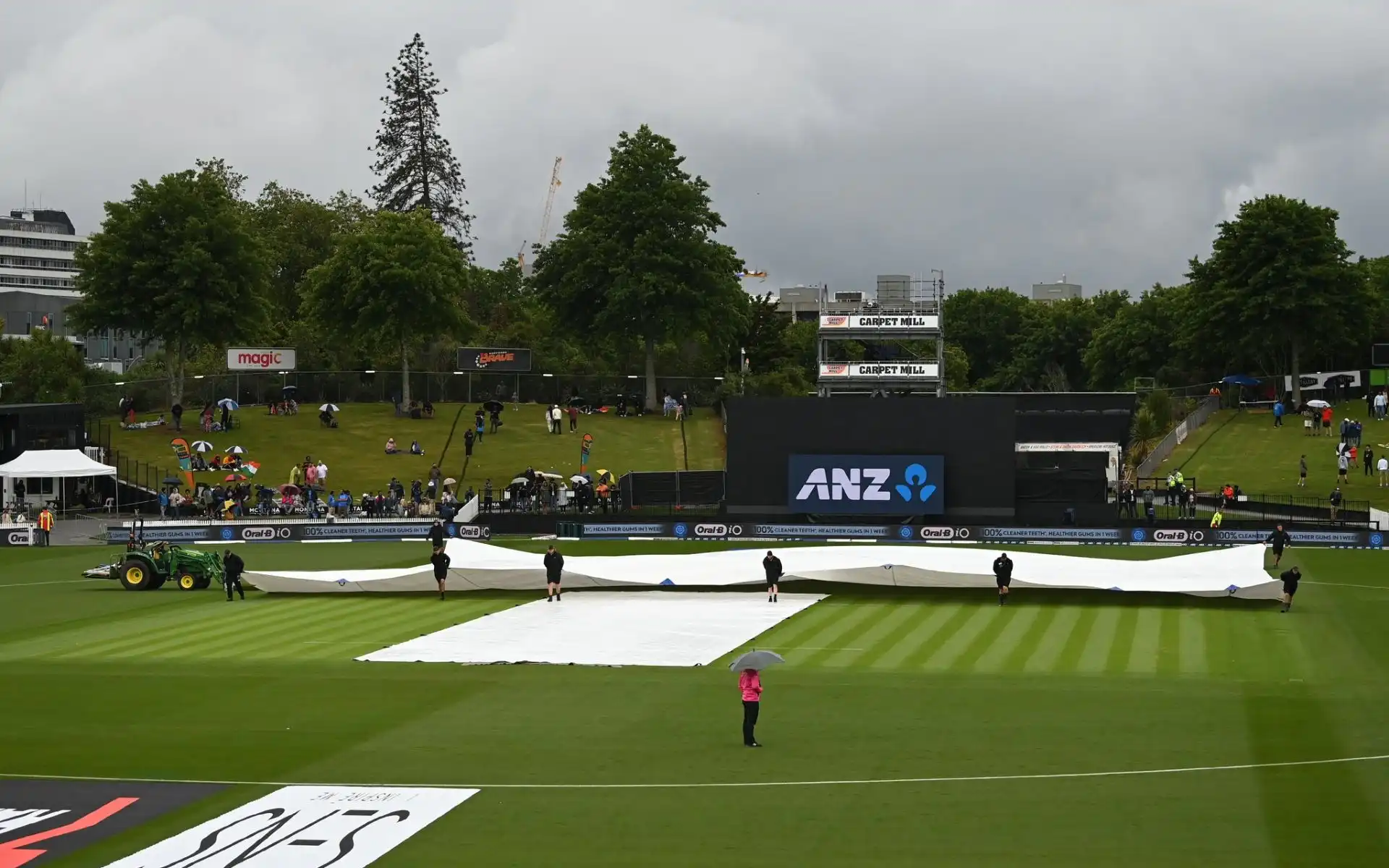 Seddon Park Hamilton Ground (Source:@YaariSports/X.com)