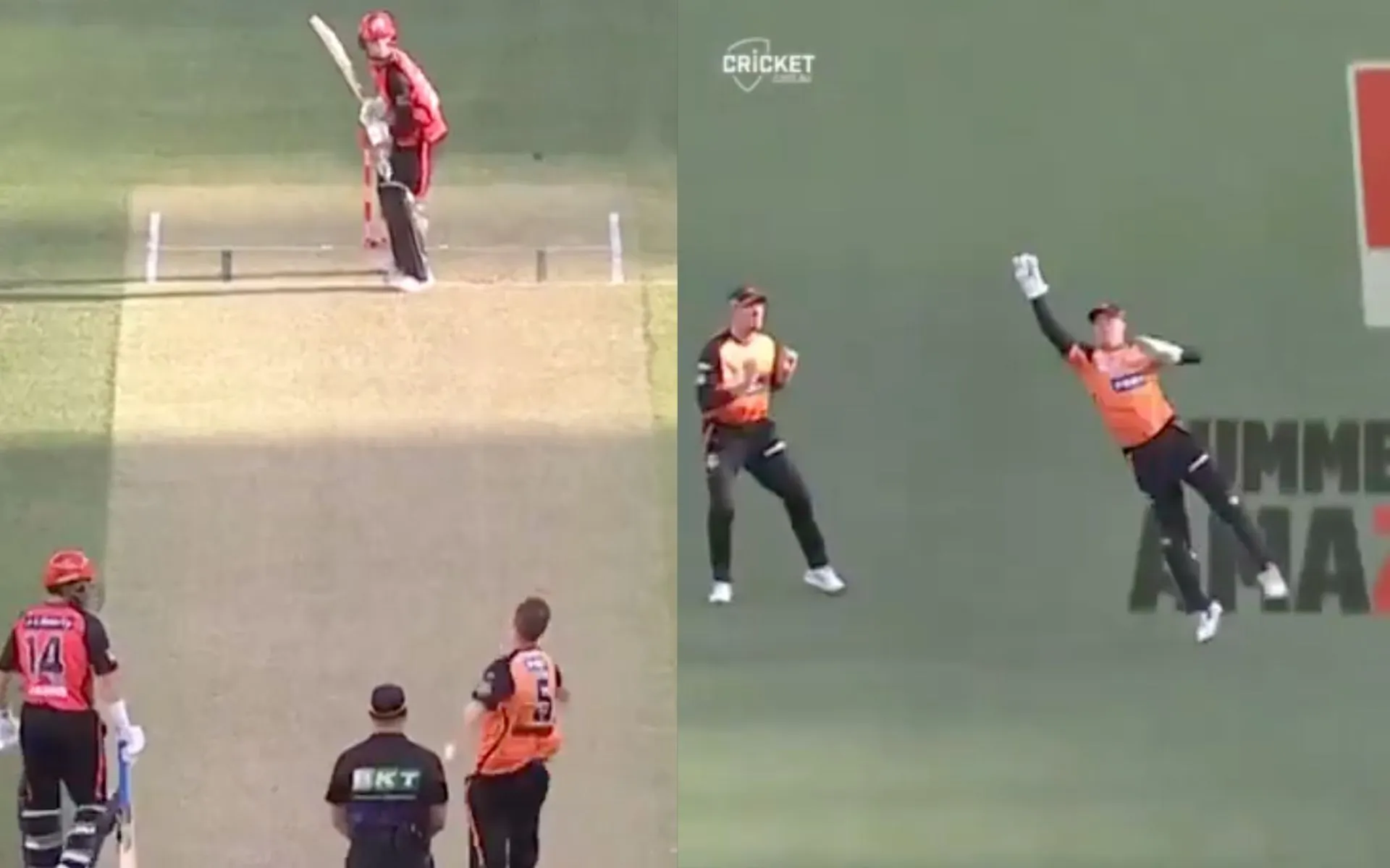 JFM Wicket- (Source:@ScreenGrab)