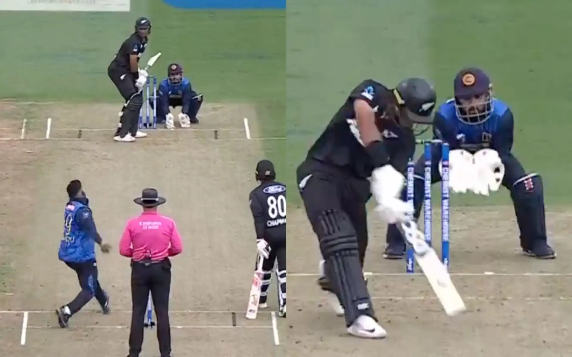 Rachin Ravindra slams a half-century vs Sri Lanka (Photos: @BLACKCAPS)
