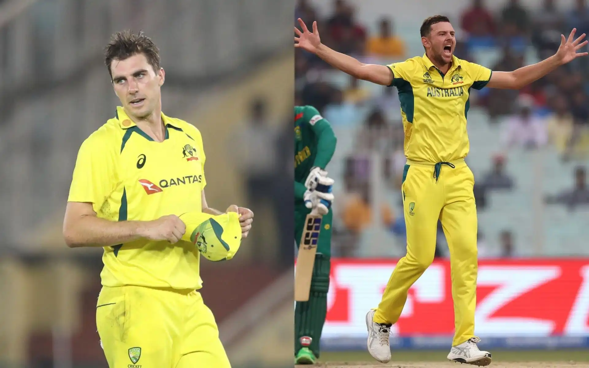 Cummins, Hazlewood are doubtful for Champions Trophy [Source: @zeeshan_naiyer2, @CricCrazyJohns/X]