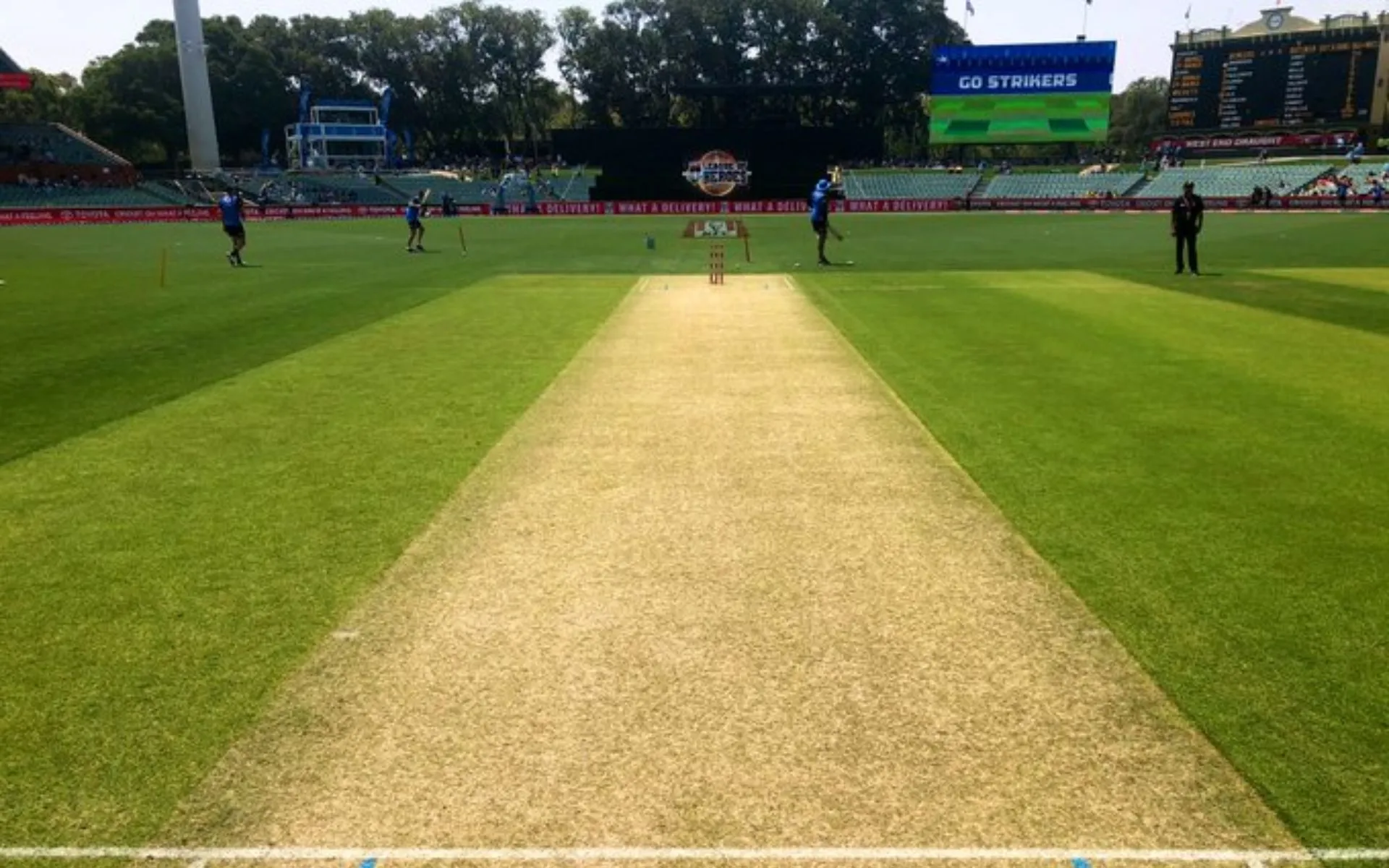 Adelaide Oval Pitch Report [Source: @BBL/x.com]