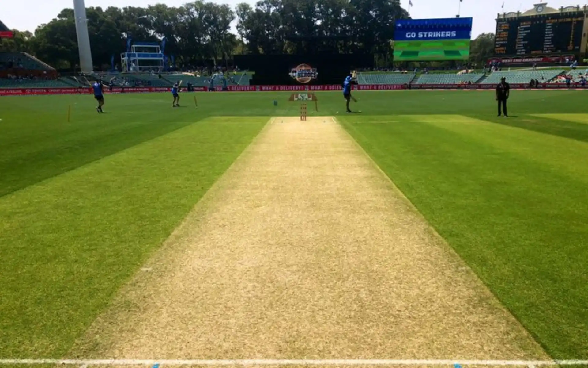 Adelaide Oval Pitch Report [Source: @BBL/x.com]