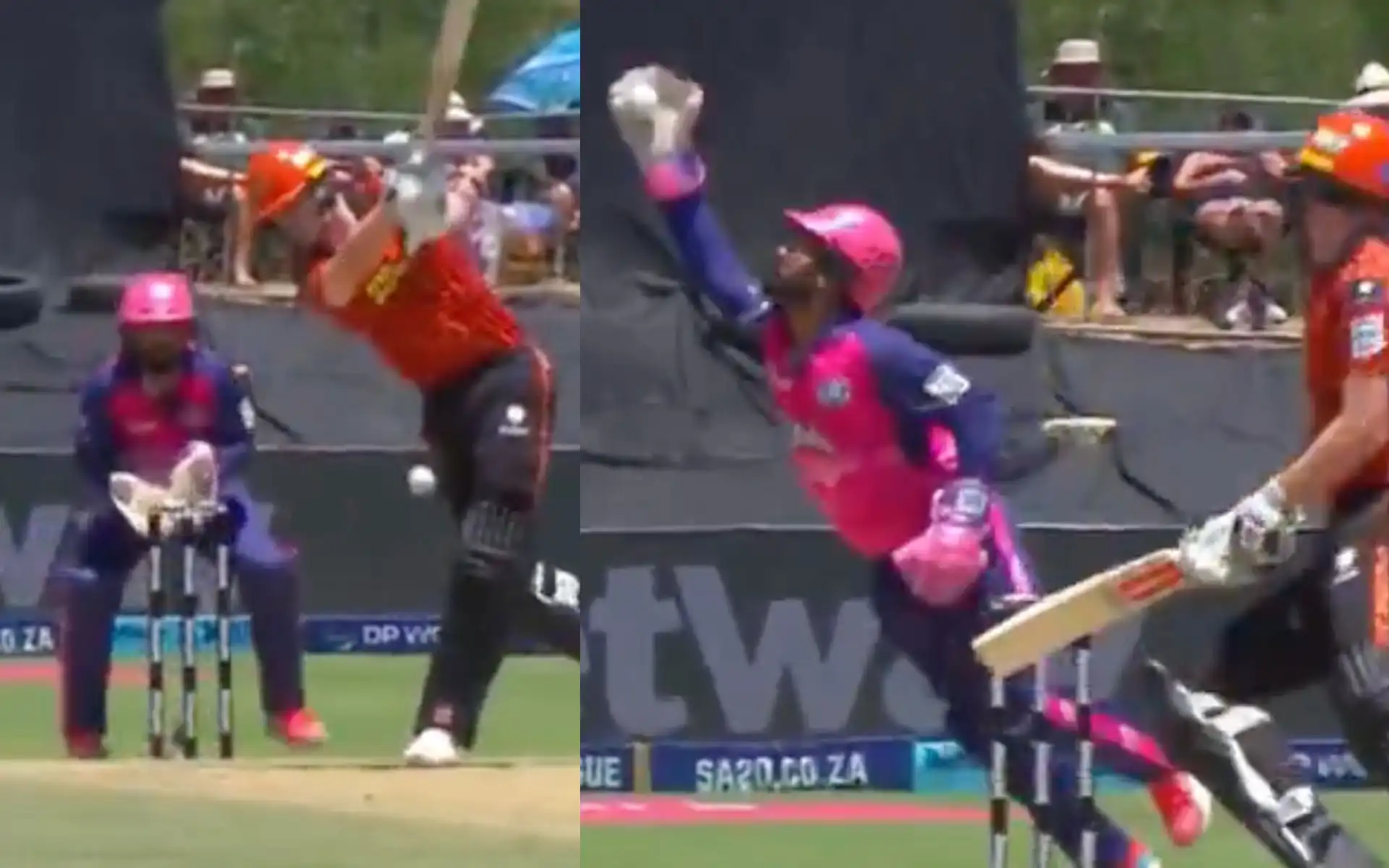 Dinesh Karthik's catch in SA20 (Source:@21OneTwo34/X.com)