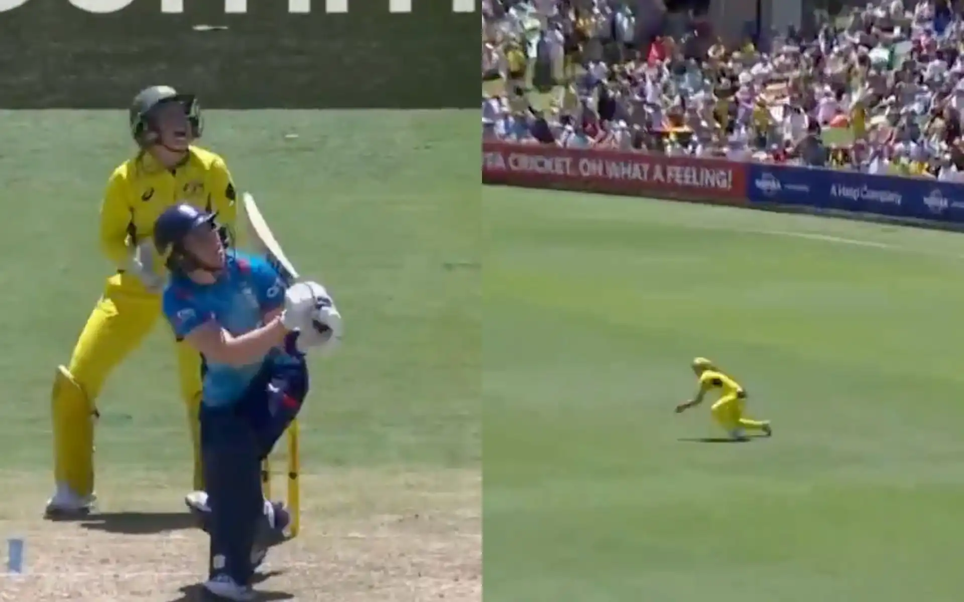 Ellyse Perry made a brilliant catch to dismiss Heather Knight (Source: @cricketcomau/X.com)