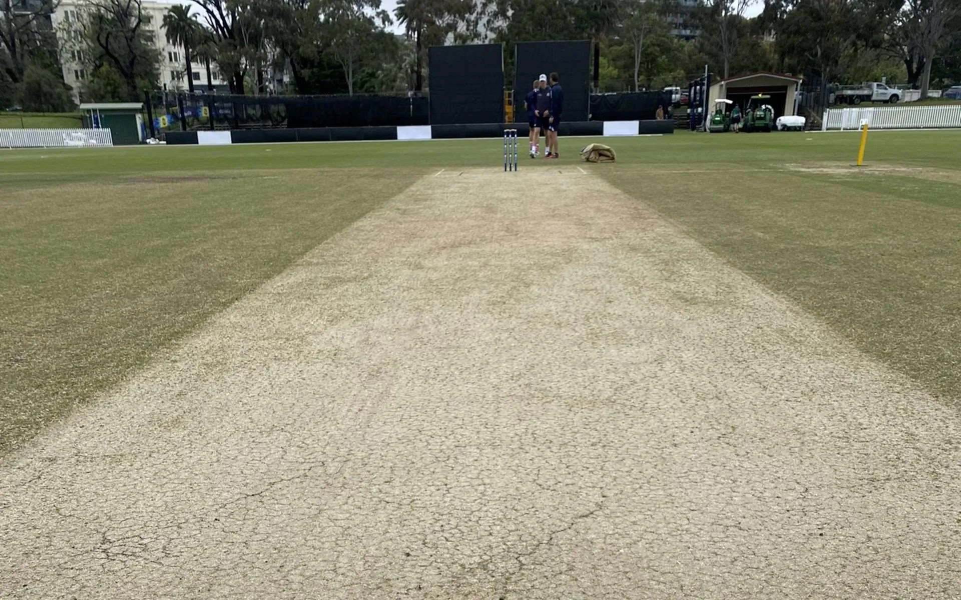 Junction Oval Pitch Report [Source: @White_Adam/x.com]