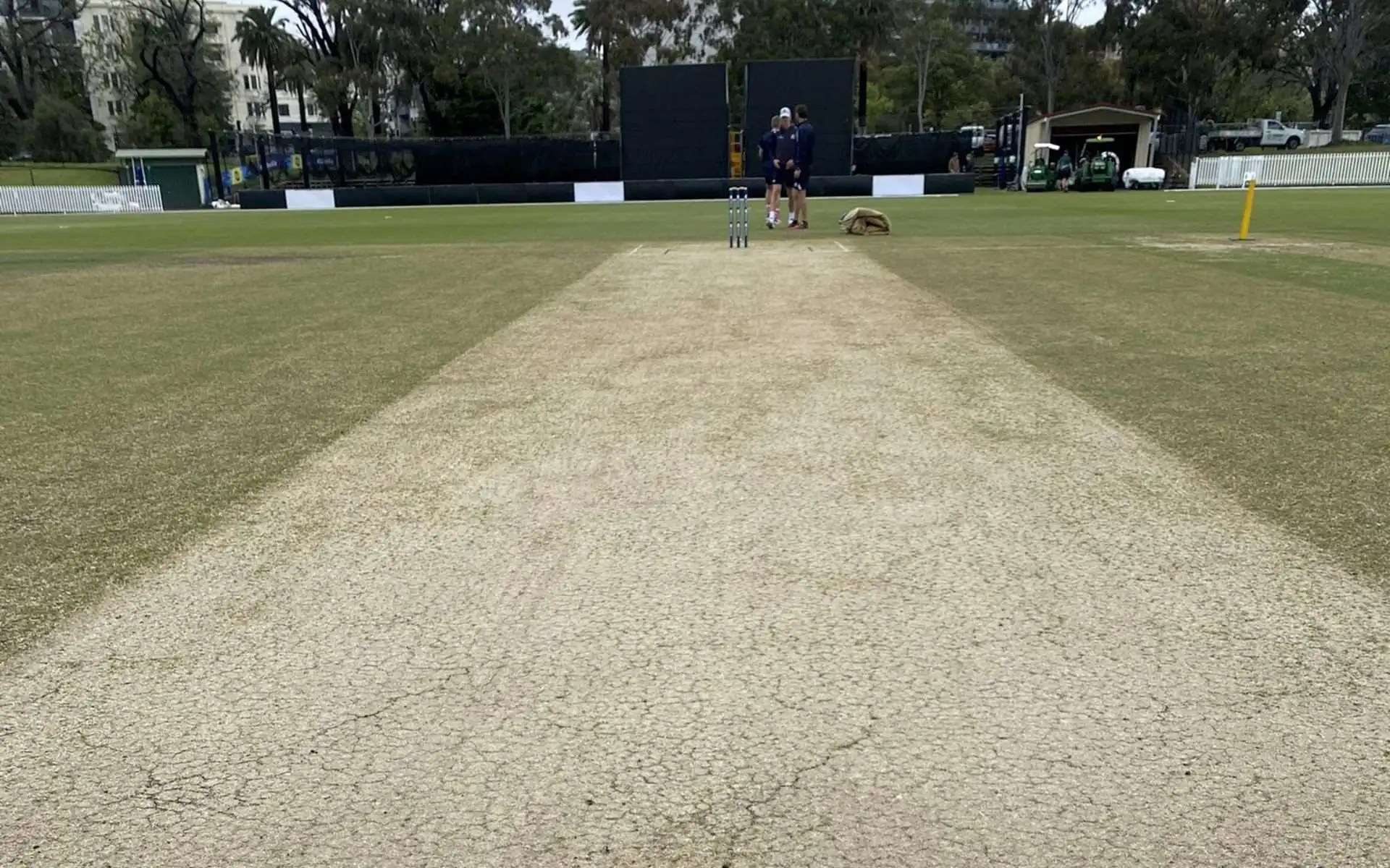 Junction Oval Pitch Report [Source: @White_Adam/x.com]