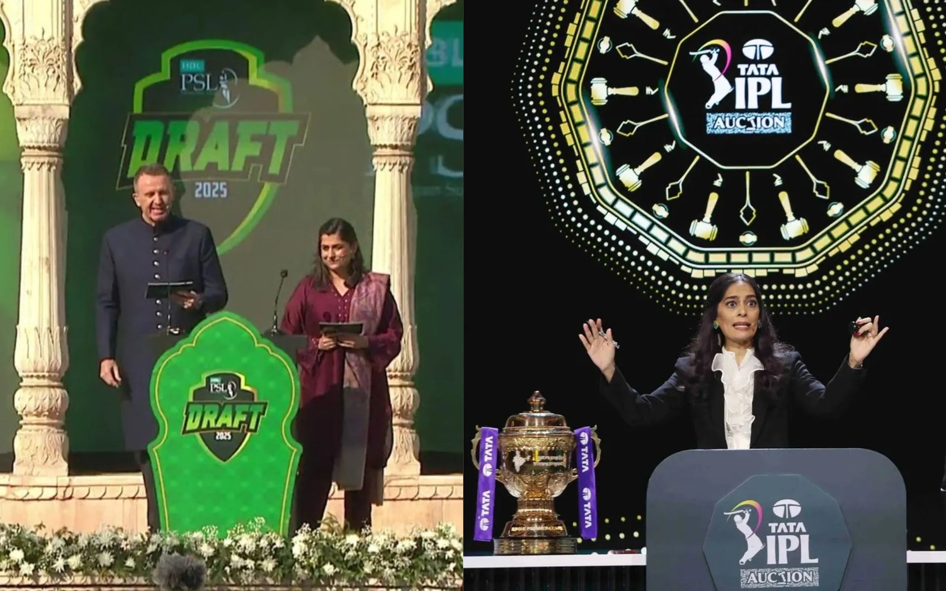 IPL and PSL- (Source:@Johns/X.com)