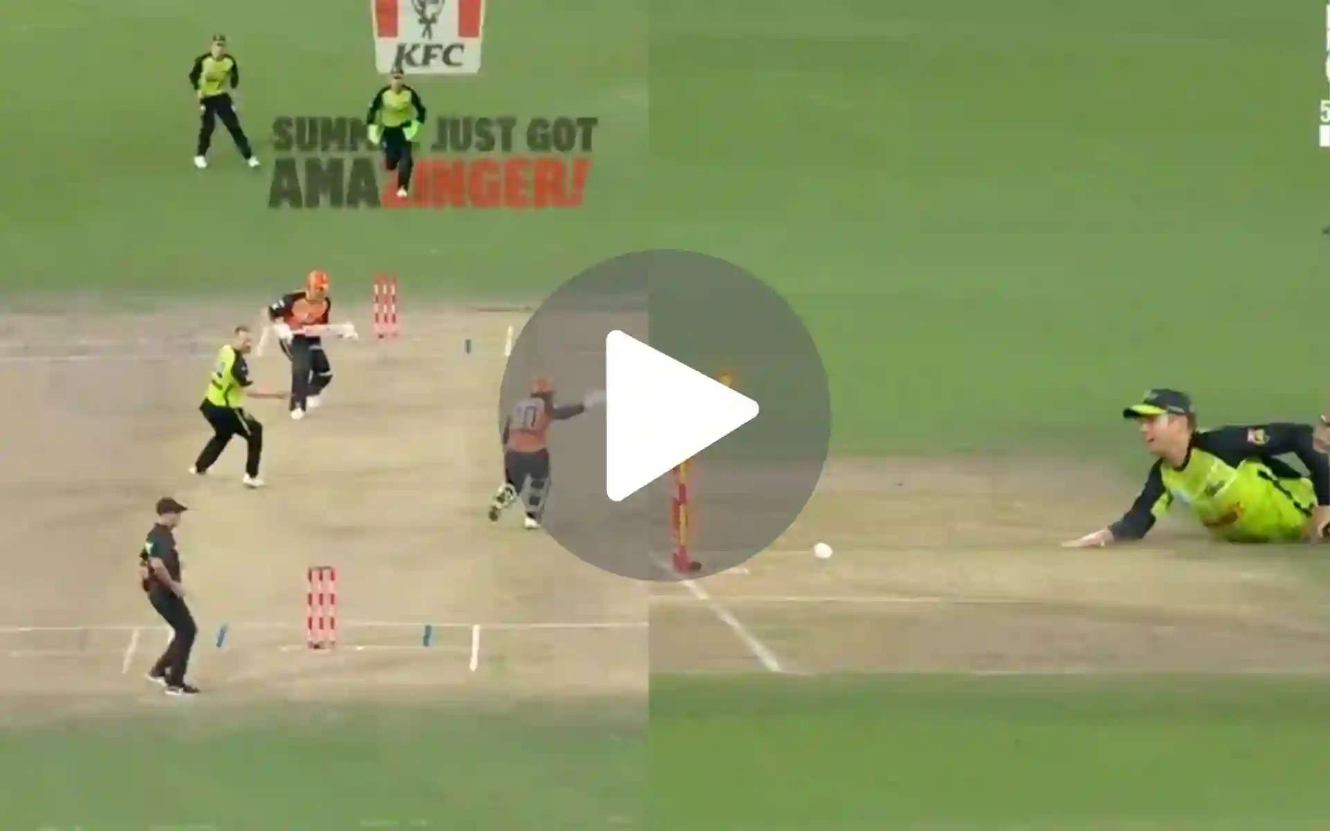 [Watch] BBL Gives Tribute To Pakistan As Terrible Mix-Up Leads To Comical Run-Out