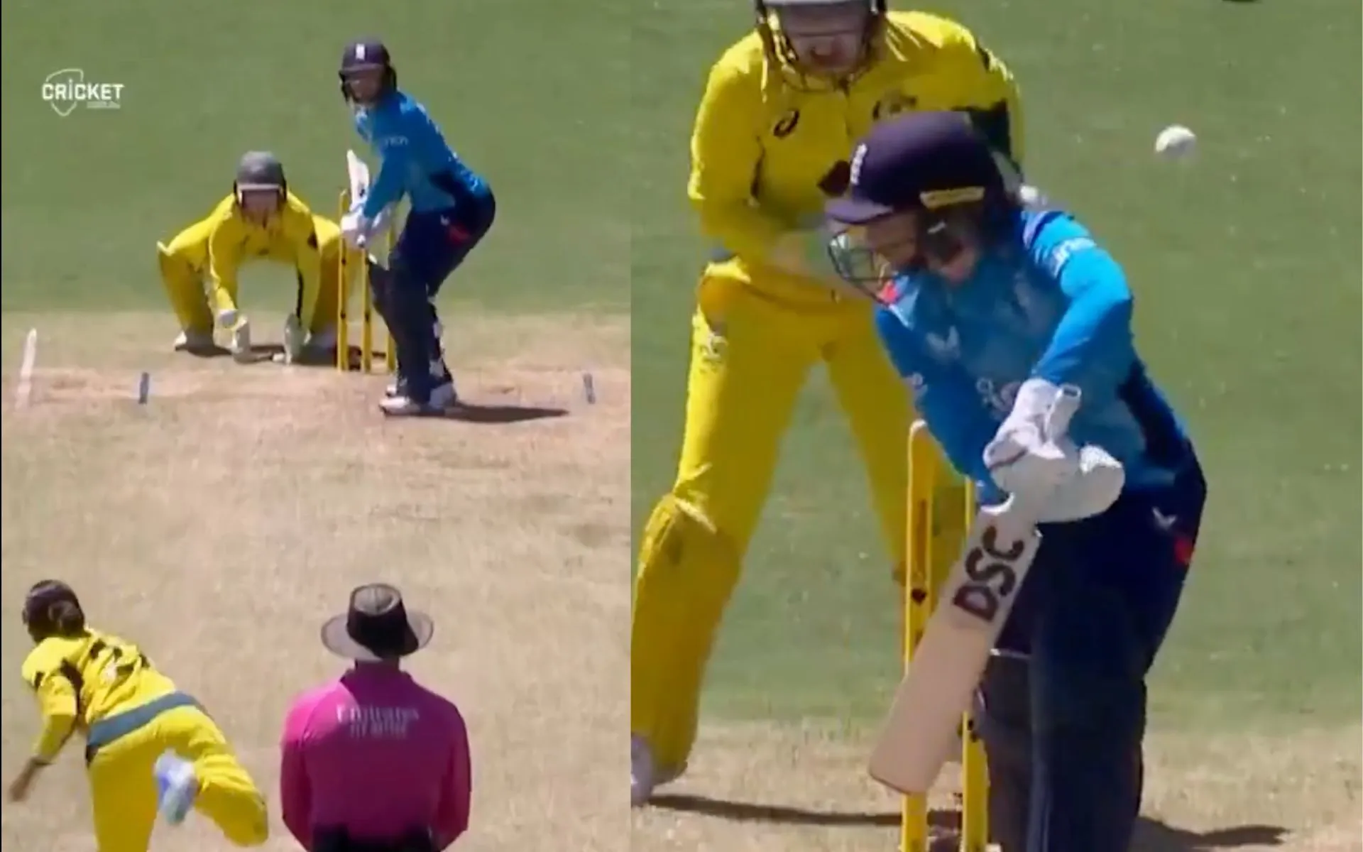 Alana King knocks over Dani Wyatt [Source: @cricketcomau/X.Com]
