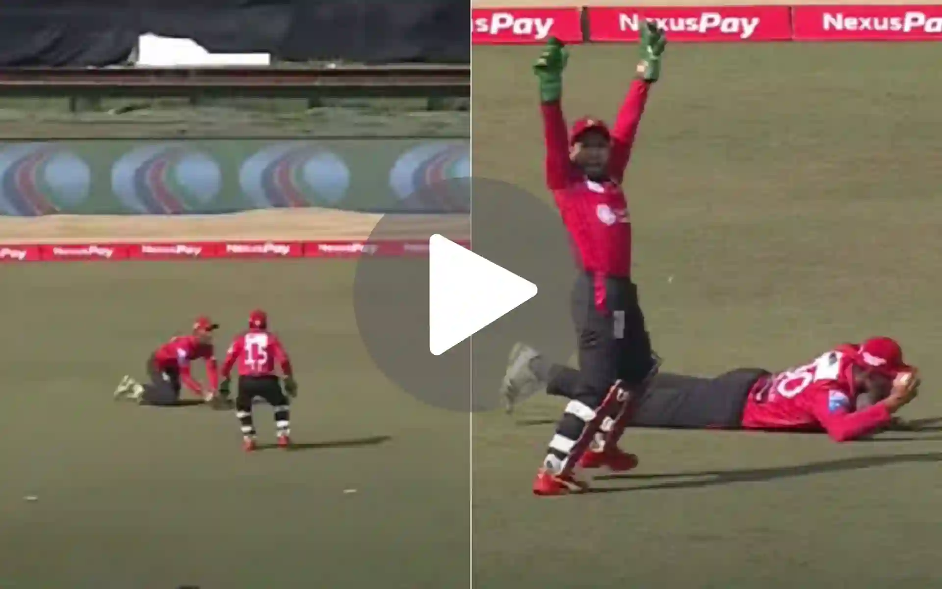 [Watch] An Absolute Worldie! Mahmudullah Pulls Off A Catch For The Ages In BPL 2024-25