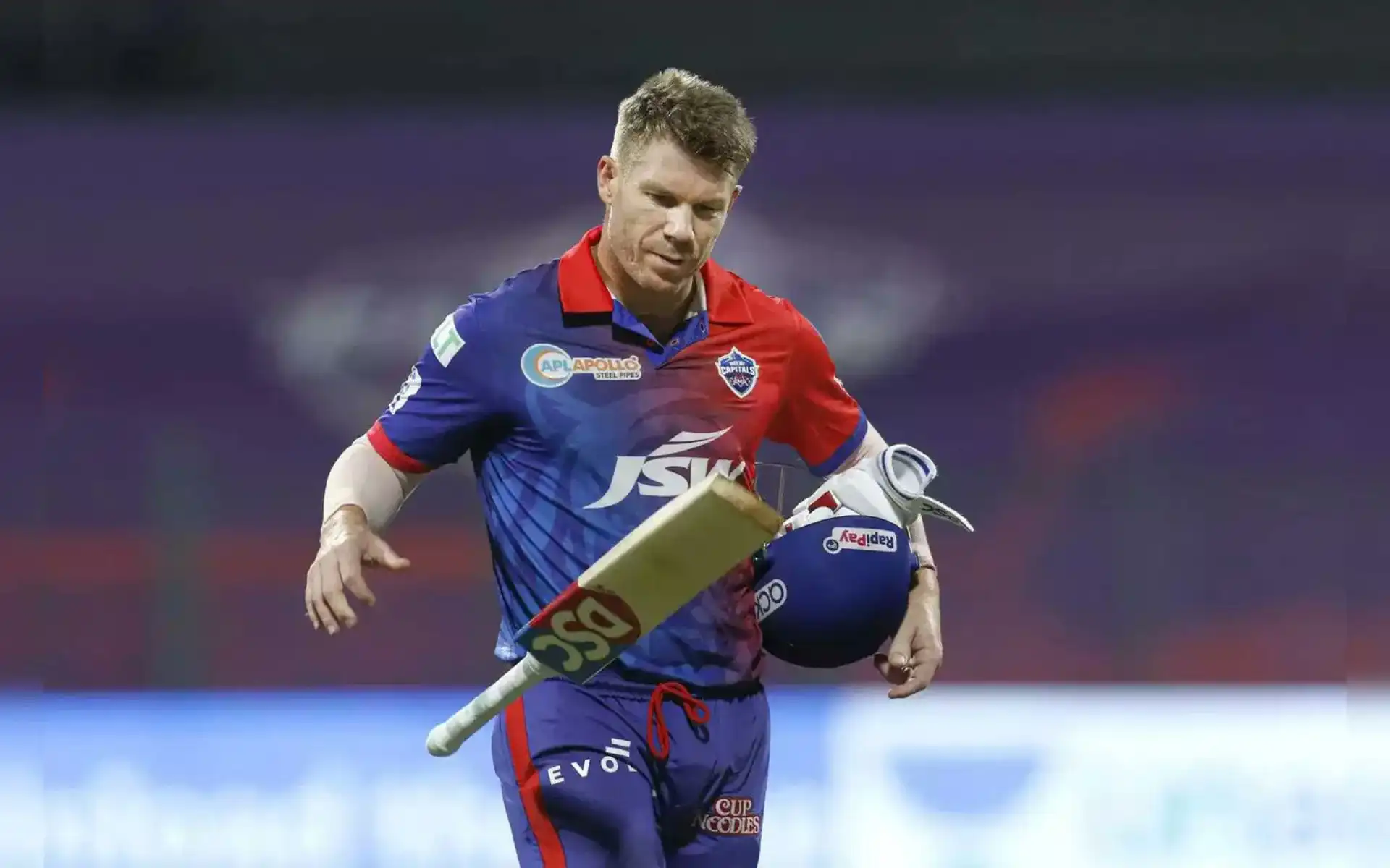 David Warner in IPL (Source:@iMShami_)