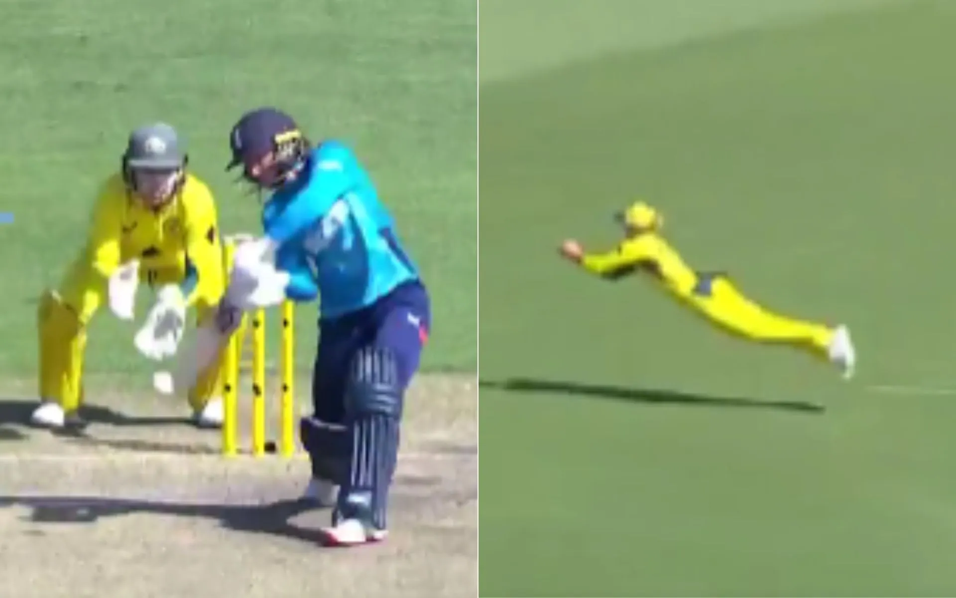 Phoebe Litchfield took a screamer [Source: @cricketcomau/x.com]
