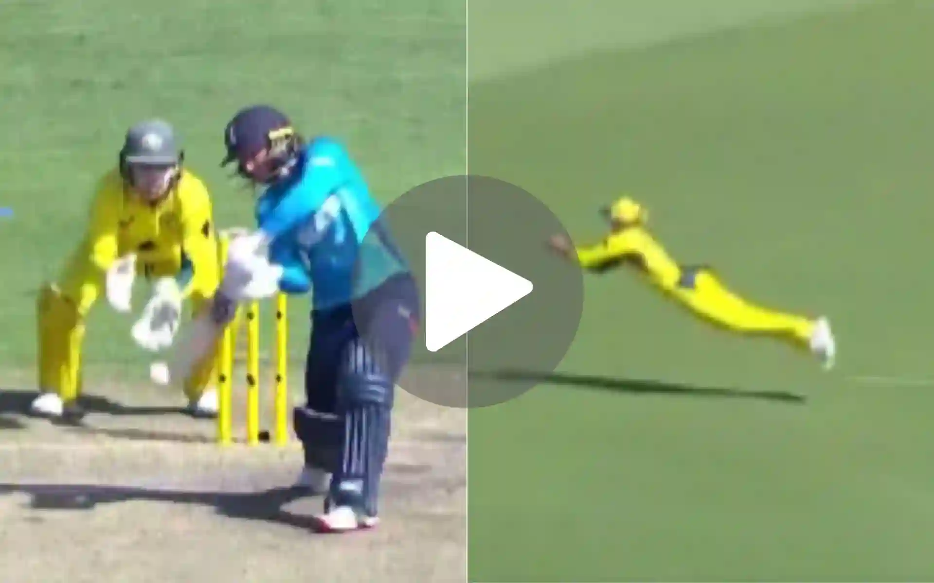 [Watch] Litchfield Evokes Head's WC Final Catch Of Rohit Sharma Memories With A Screamer