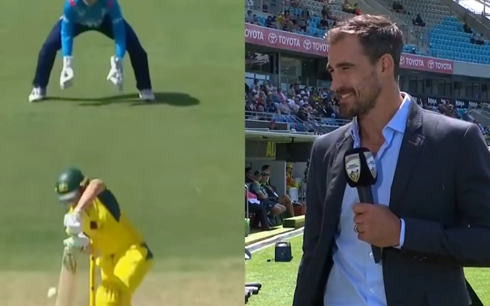 Alyssa Healy's dismissal was commentated by Mitch Starc (Source:@224notout/X.com)