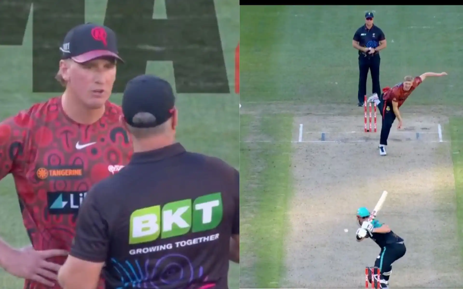 Will Sutherland restricted from bowling (Source:@BBL,x.com)