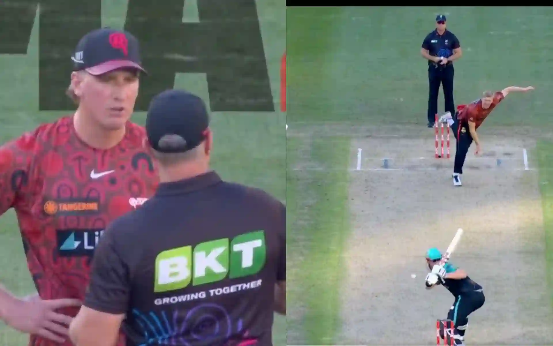 Will Sutherland restricted from bowling (Source:@BBL,x.com)