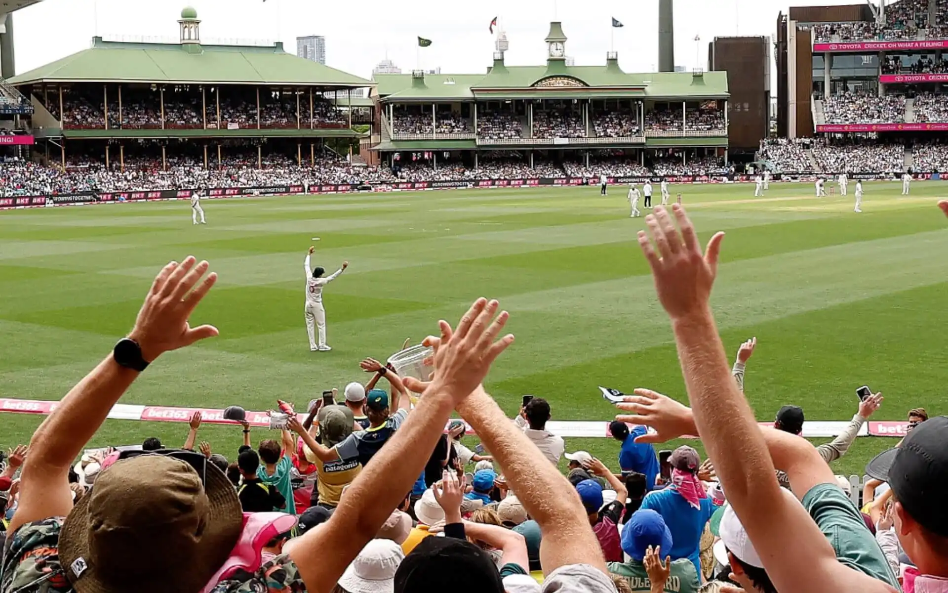 Sydney Cricket Ground [Source: @scg/X]