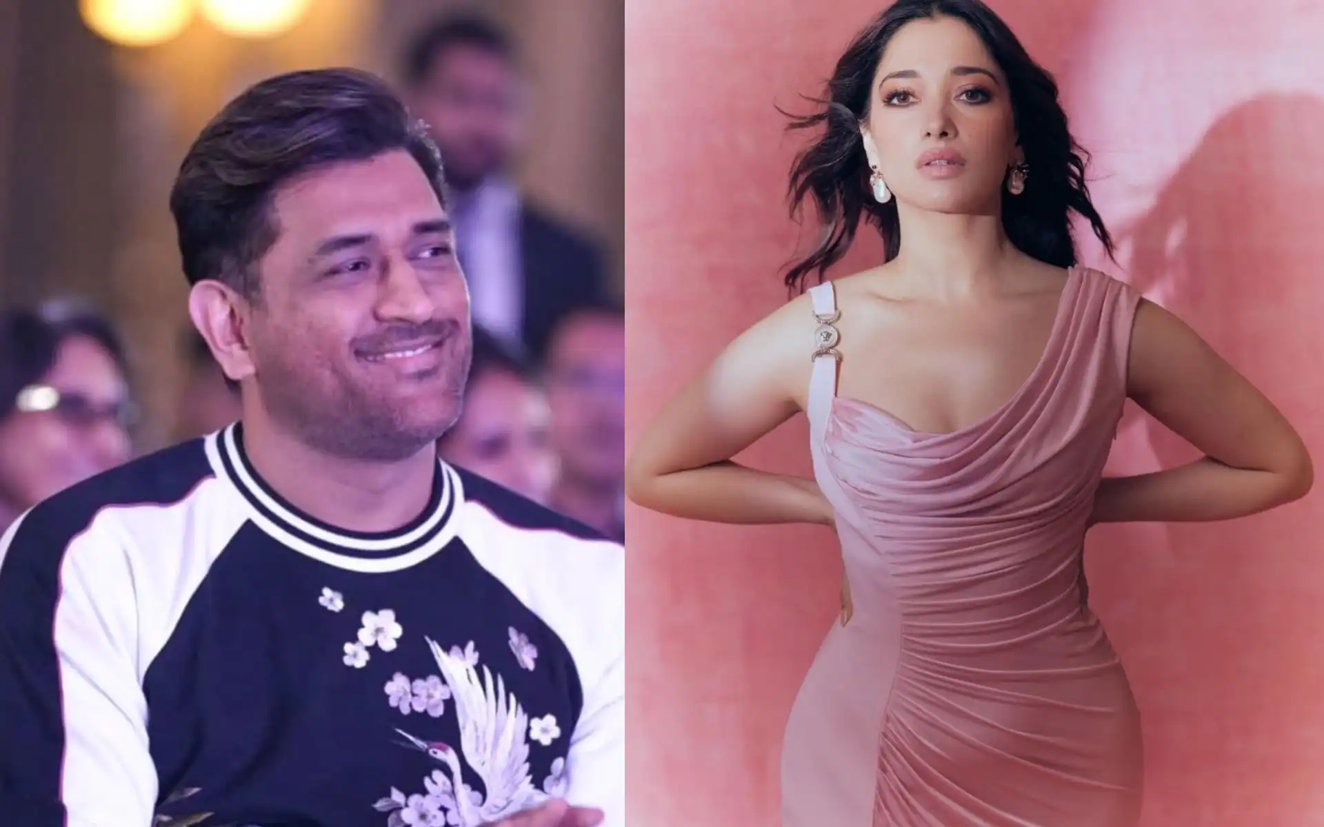 MS Dhoni and Tamannaah Bhatia (Source: @msdfansofficial,@ActressStill/X.com)