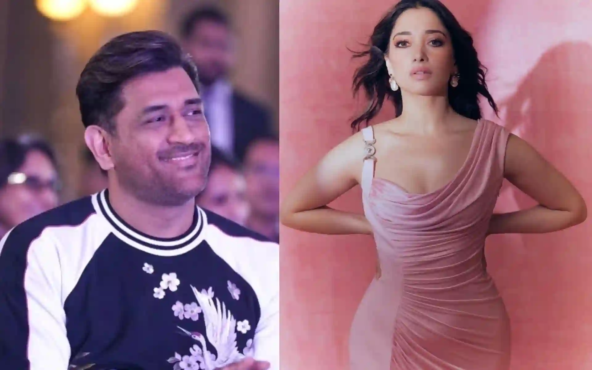 MS Dhoni and Tamannaah Bhatia (Source: @msdfansofficial,@ActressStill/X.com)
