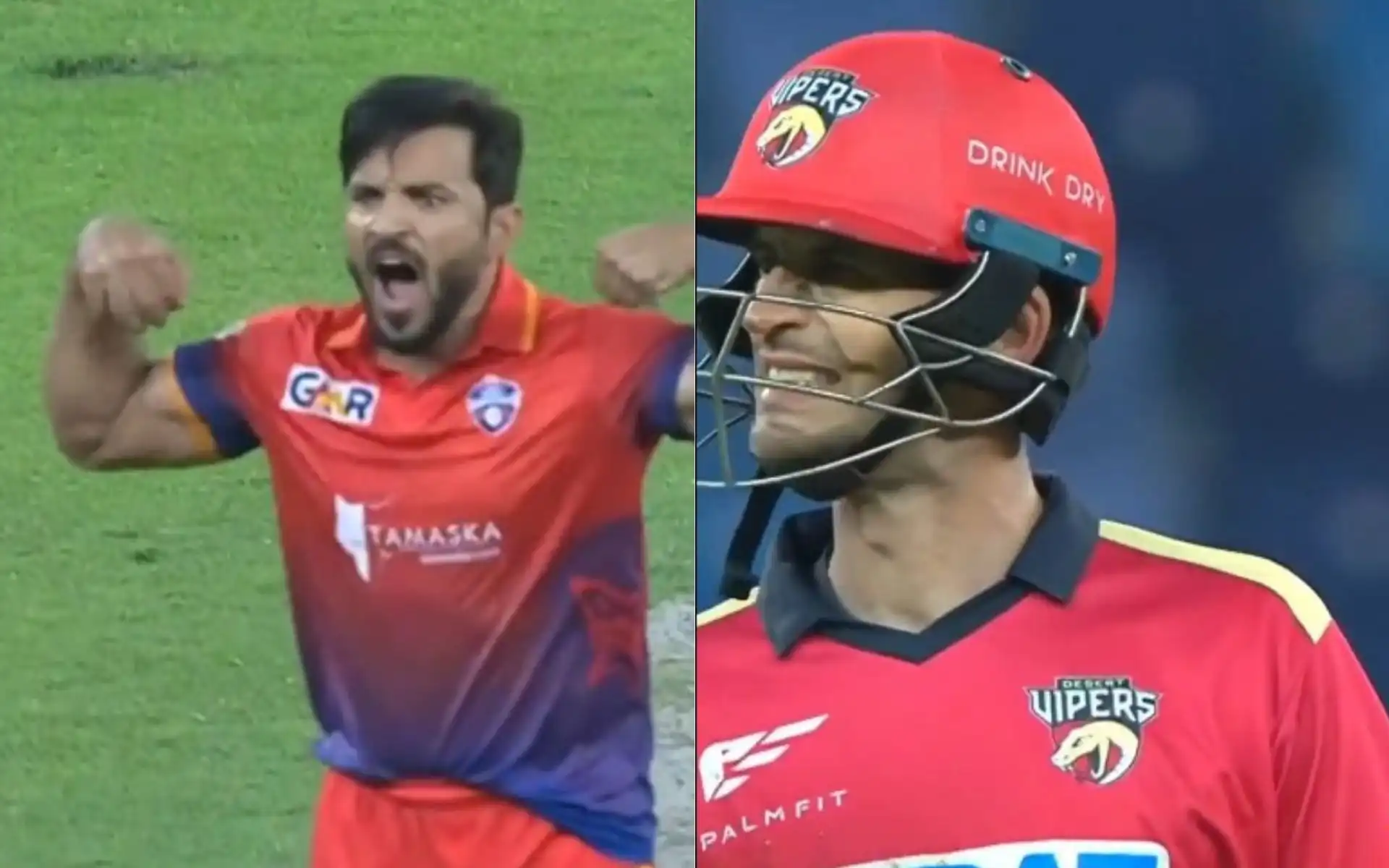 Gulbadin Naib exults after getting rid of Alex Hales [Source: @ilt20onzee/x]