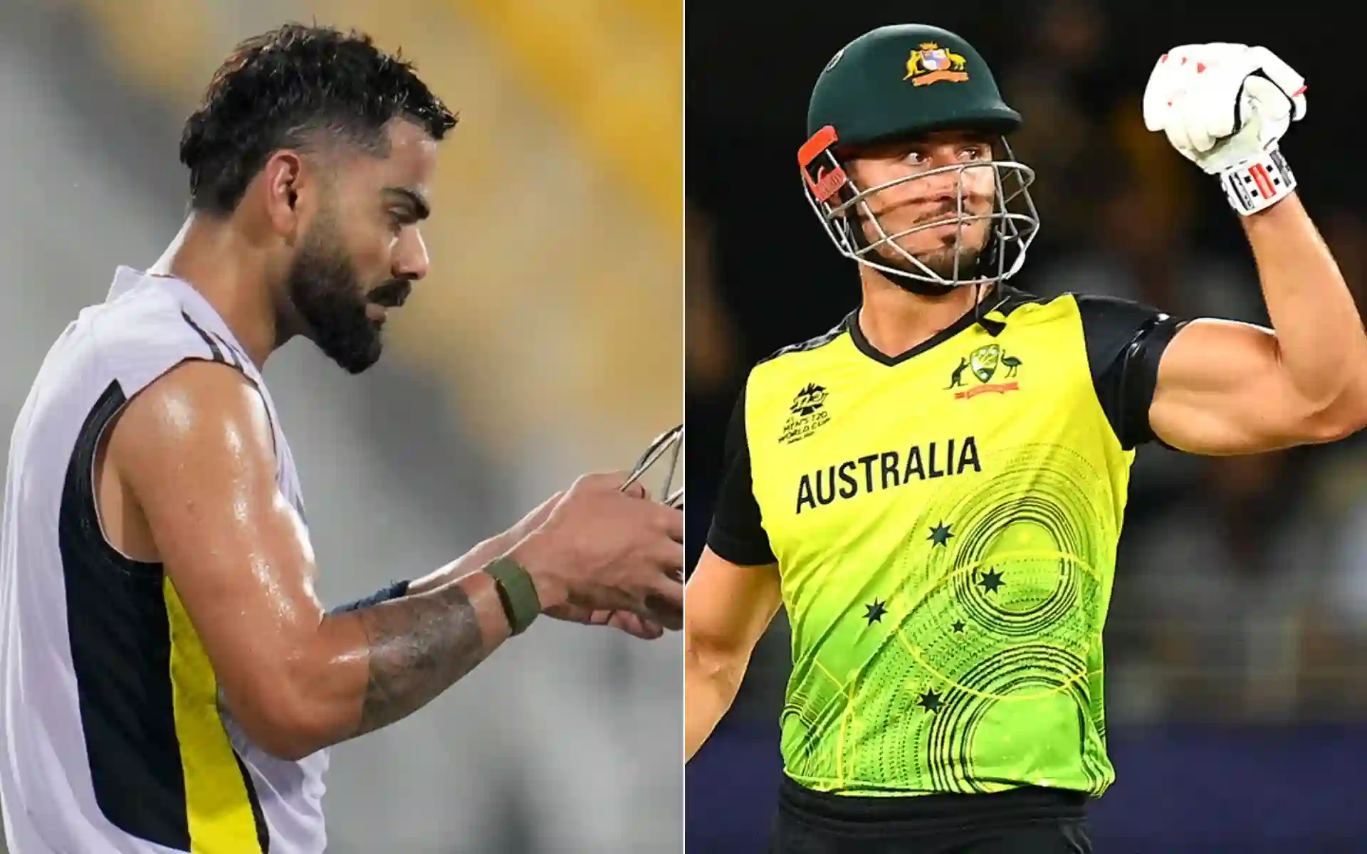 Virat Kohli and Marcus Stoinis [Source: AP, @cricketcomau/x]