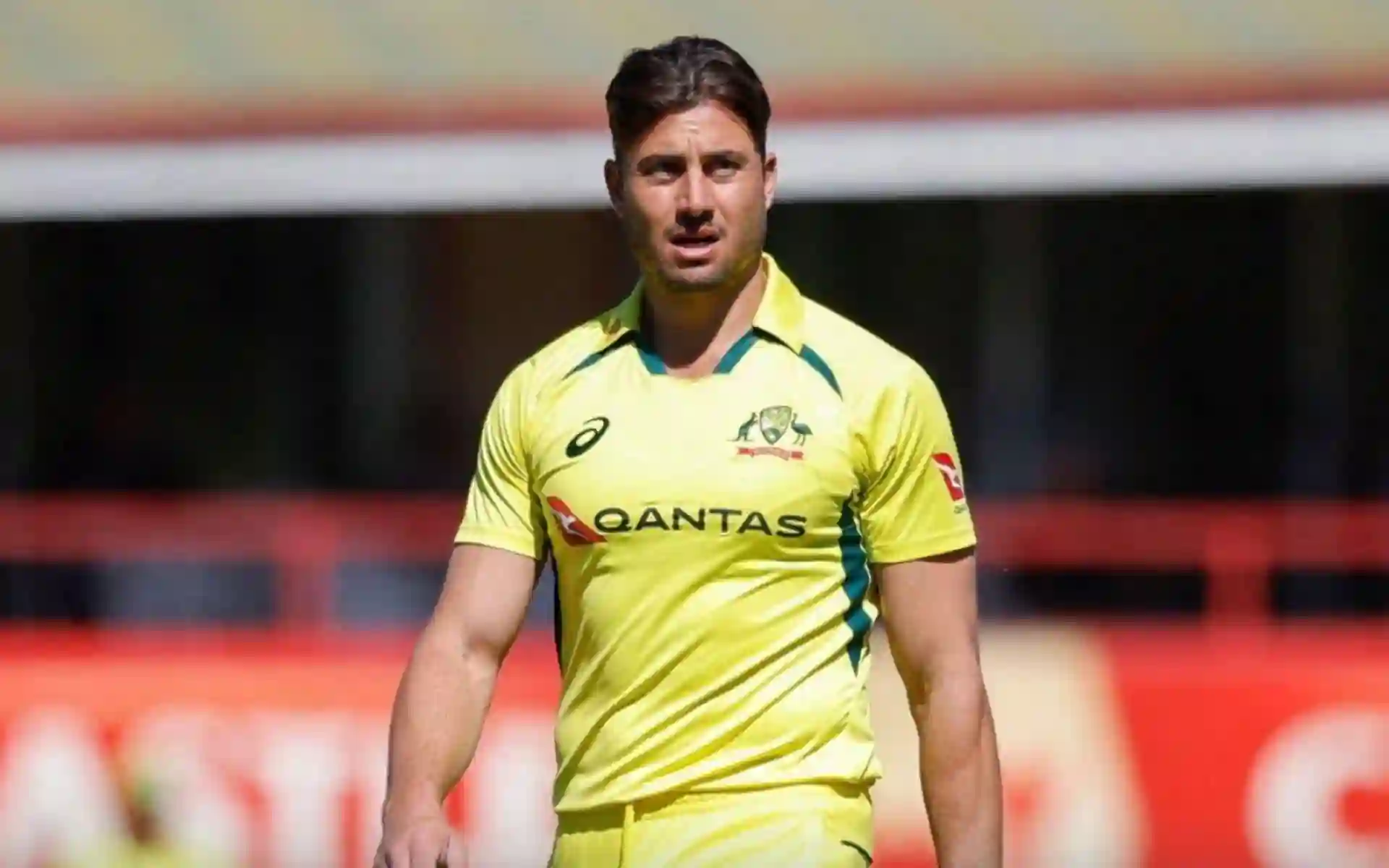 Marcus Stoinis Stats [Source: @OneCricketApp/X.com]