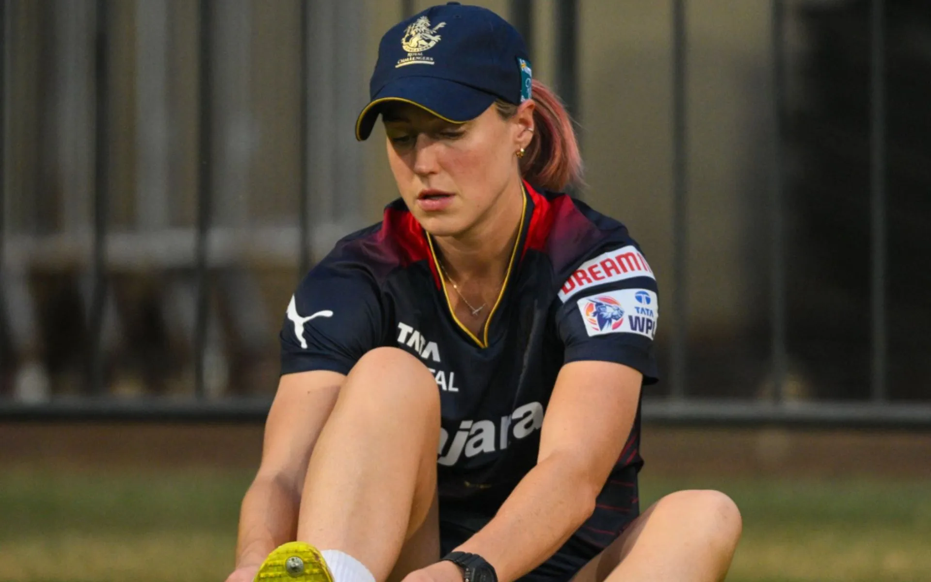Ellyse Perry on her WPL participation [Source: @imkevin149/X.com]