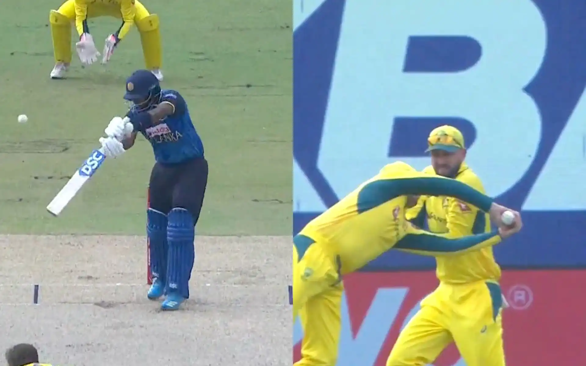 Steve Smith takes a stunning catch [Source: @7Cricket/X.com]