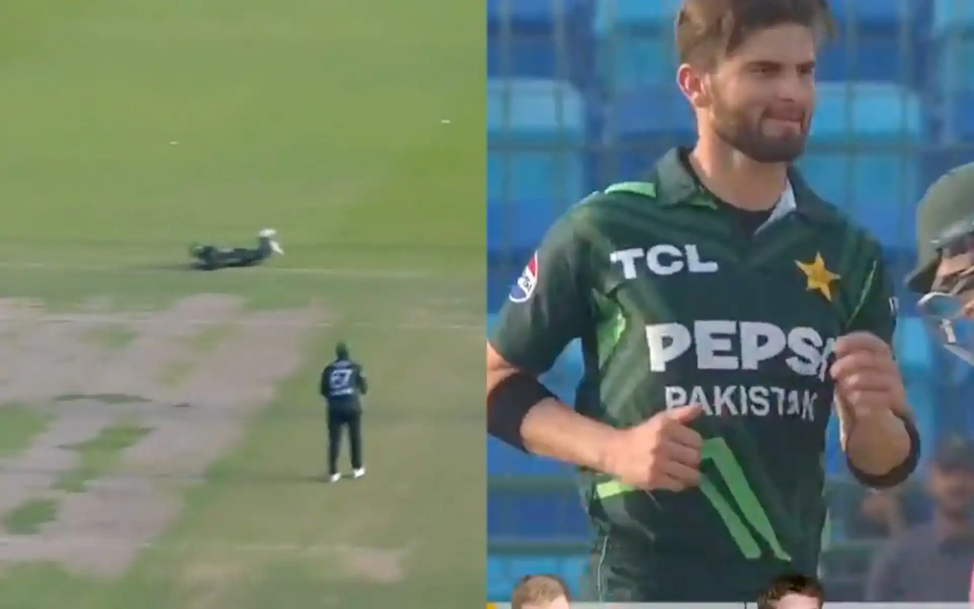 Shaheen took Mulder's wicket [Source: @kuchbhi12341416/X]