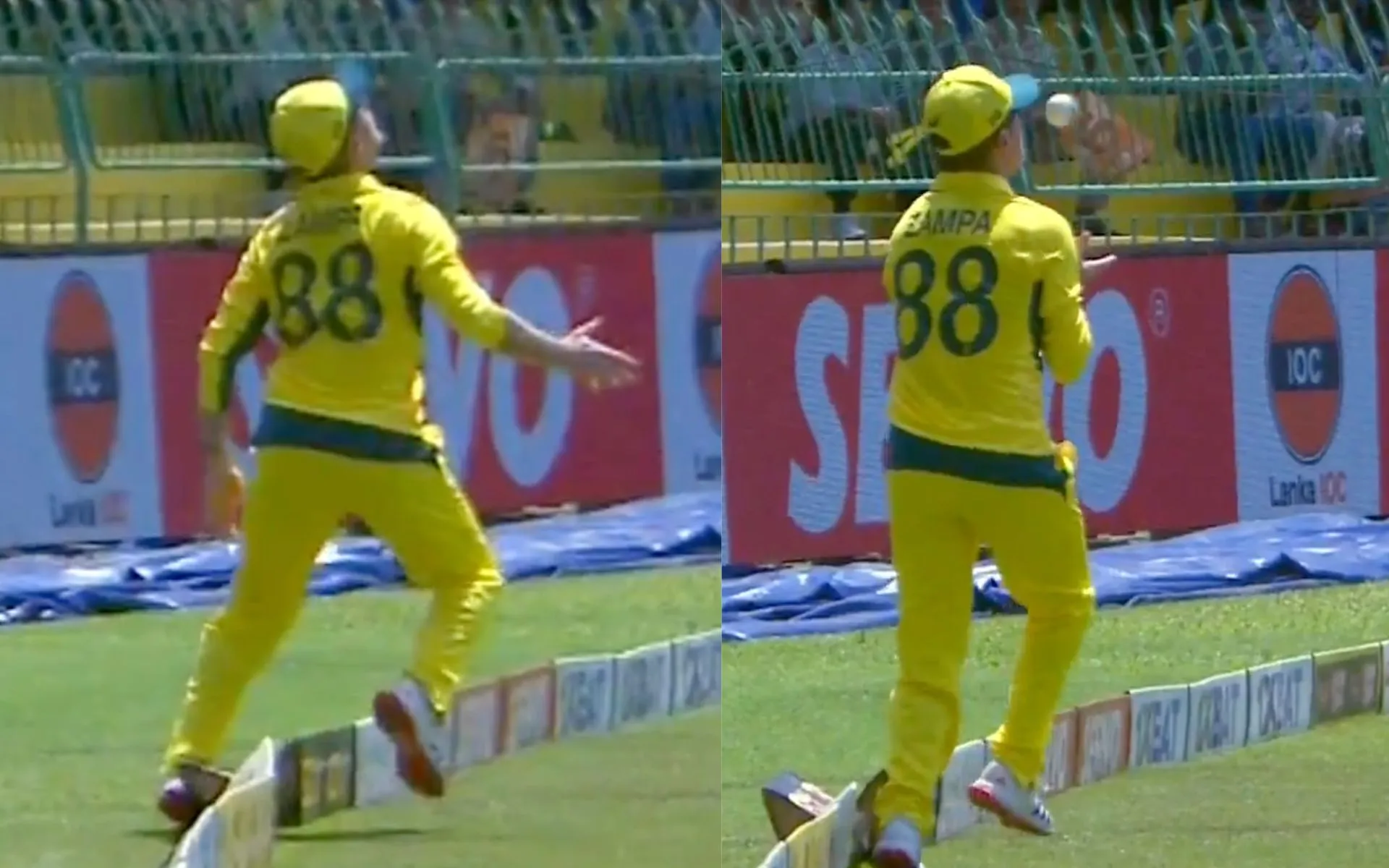 Adam Zampa grabs a stunning catch [Source: @7Cricket/X.com]