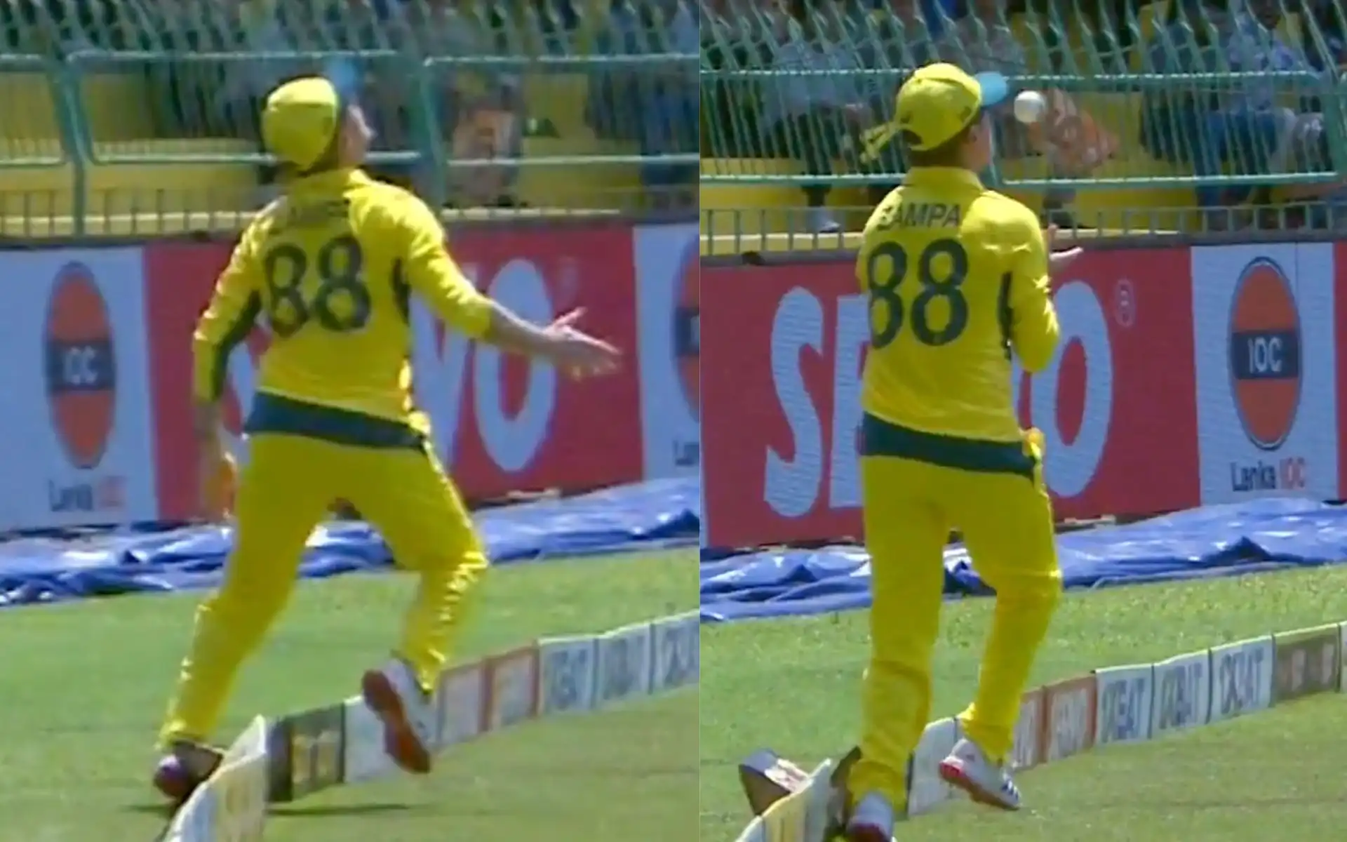 Adam Zampa grabs a stunning catch [Source: @7Cricket/X.com]